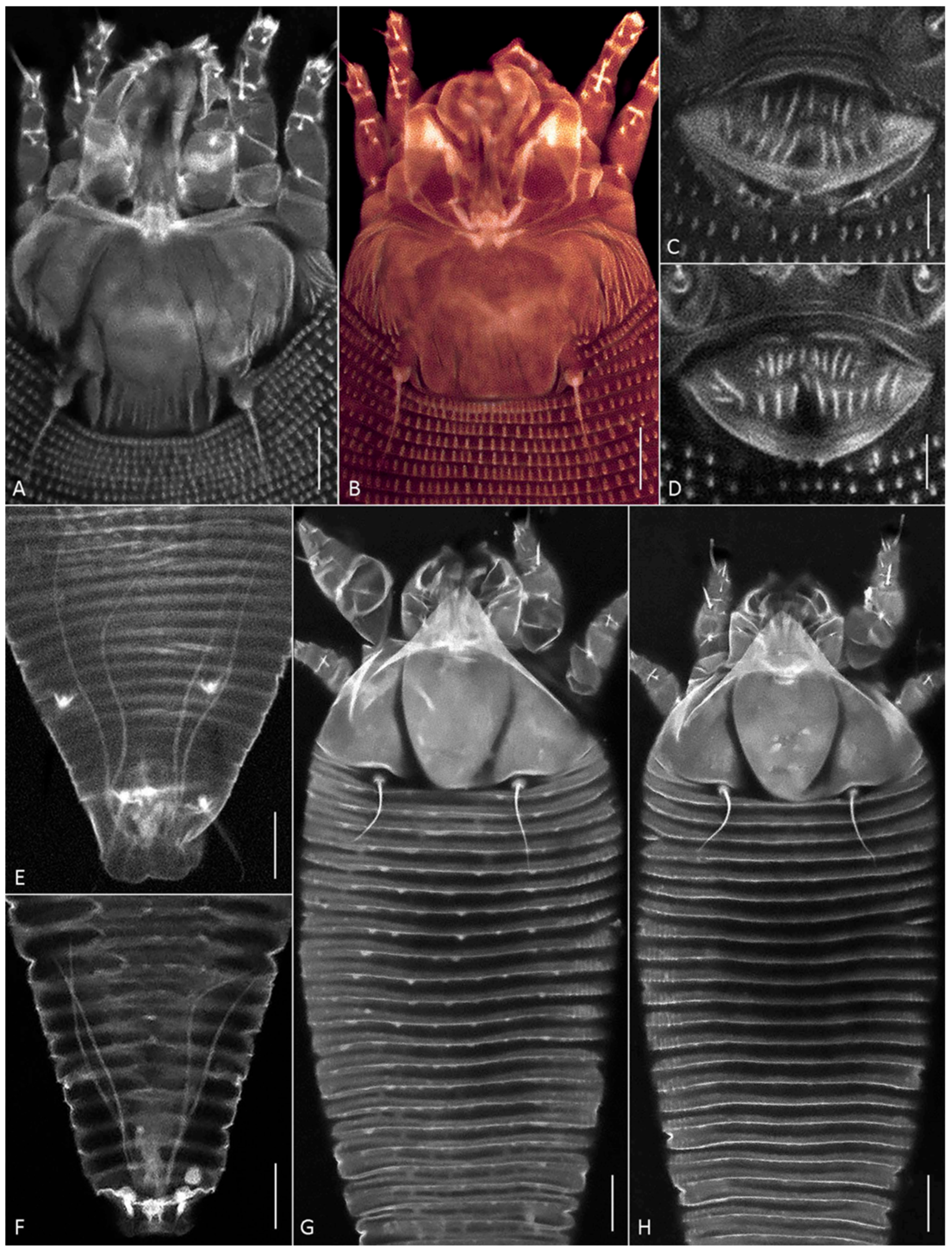 Insects 17 00259 g004