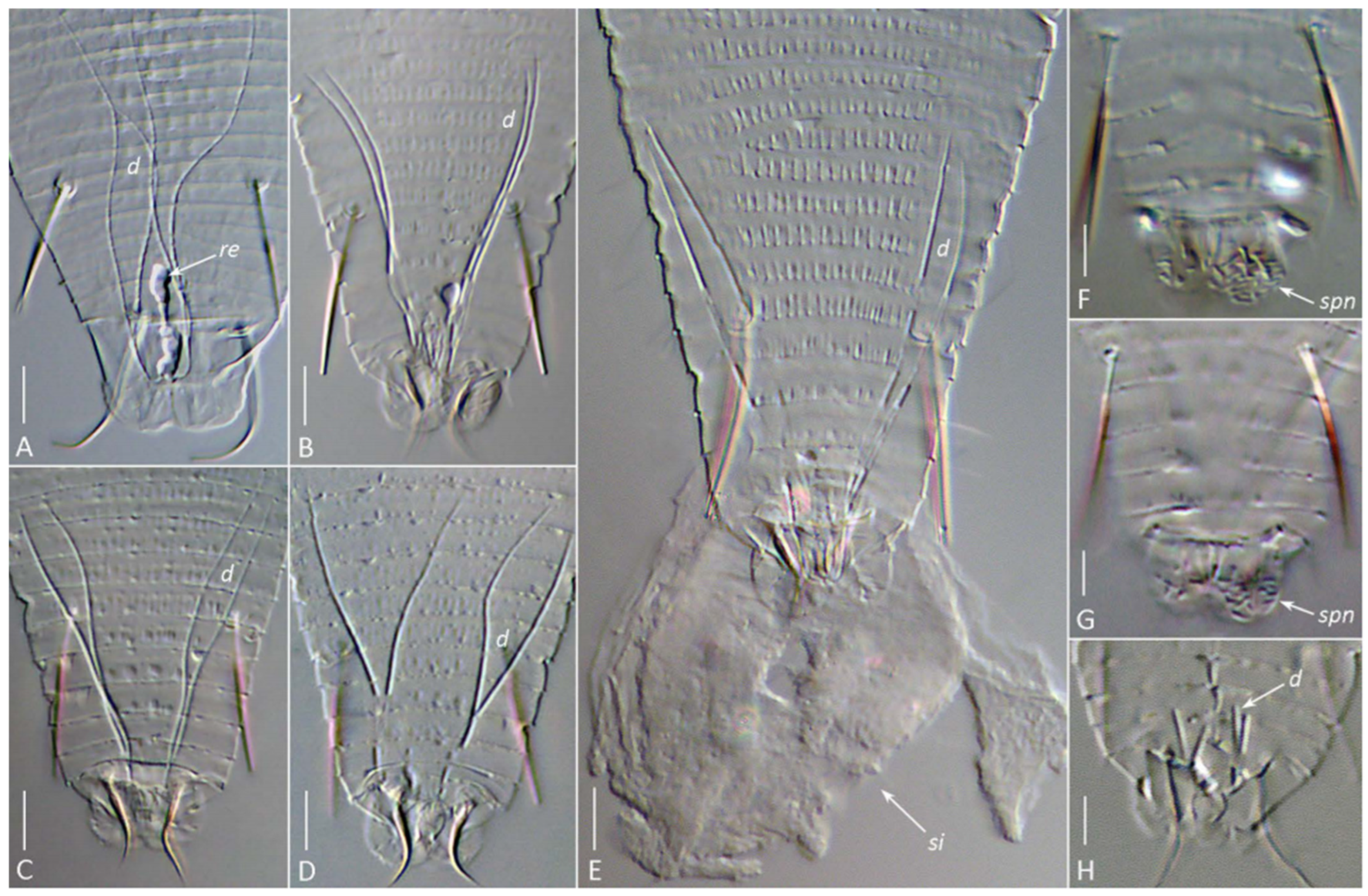 Insects 17 00259 g007