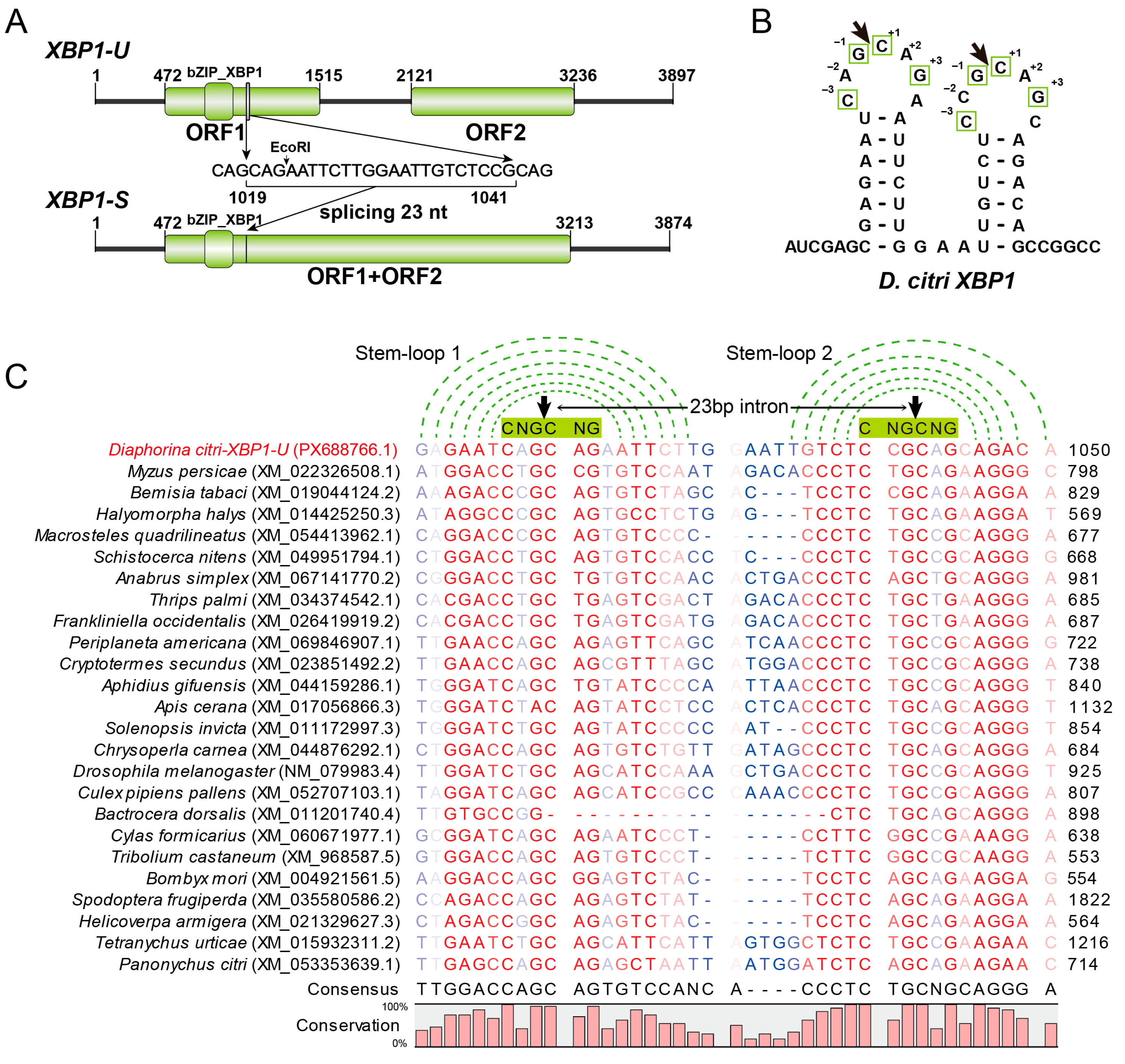 Insects 17 00260 g002 Insects 17 00260 g002