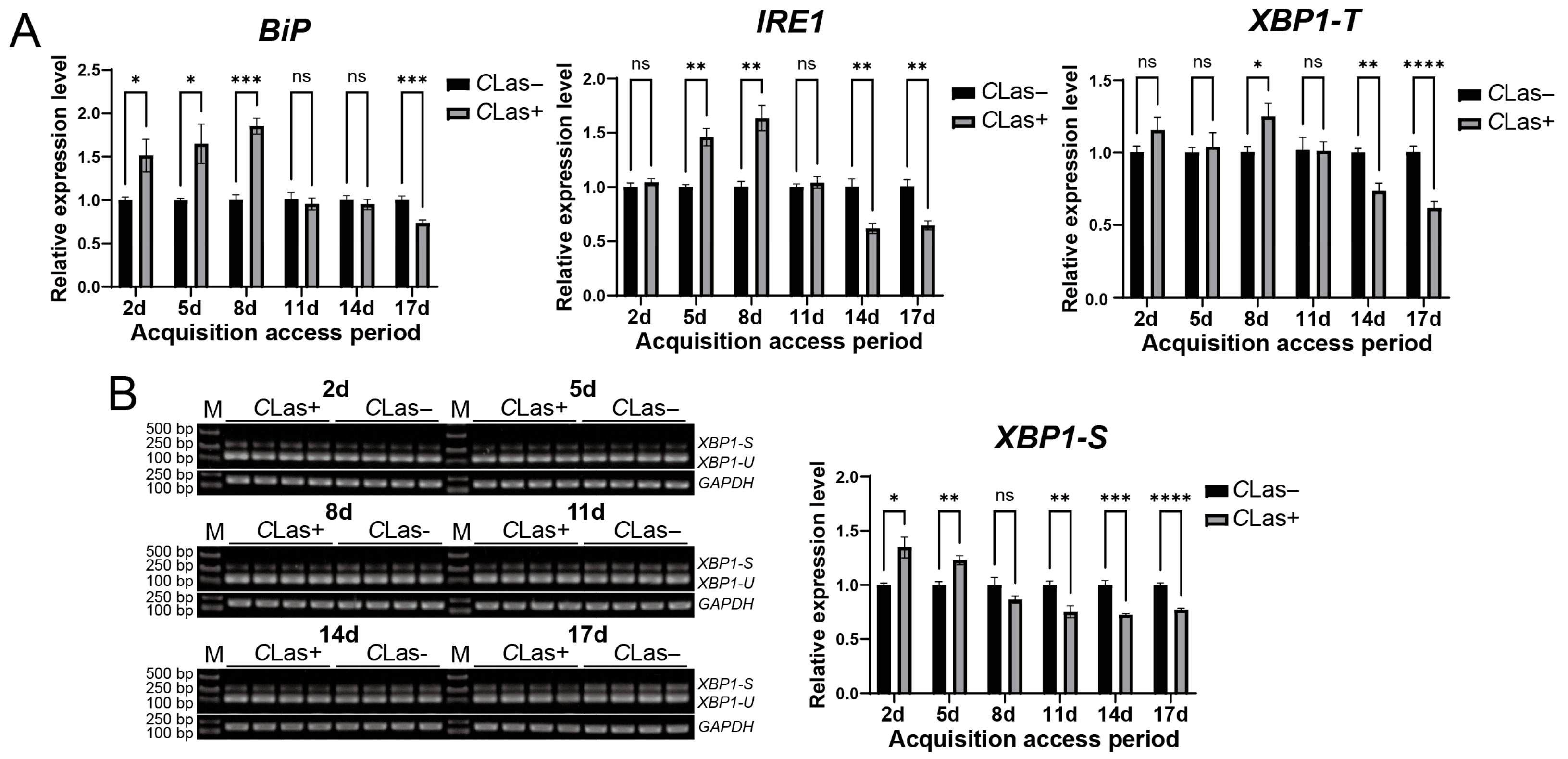 Insects 17 00260 g005 Insects 17 00260 g005
