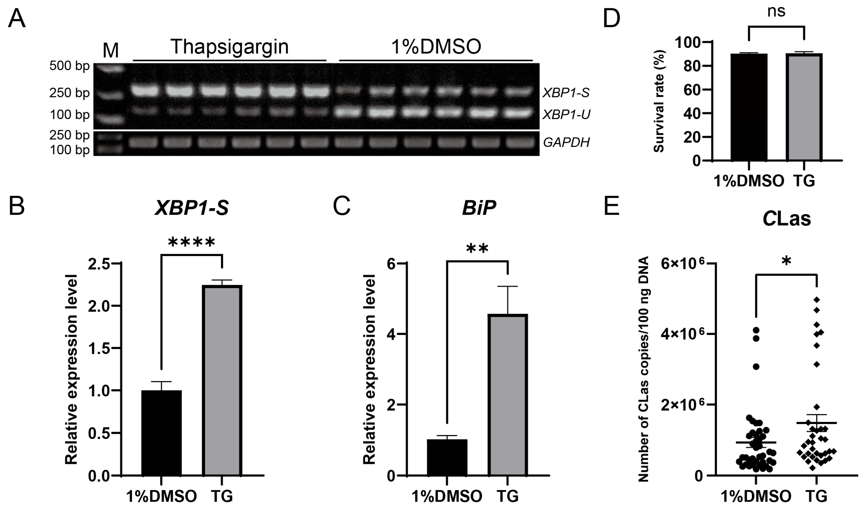 Insects 17 00260 g006 Insects 17 00260 g006