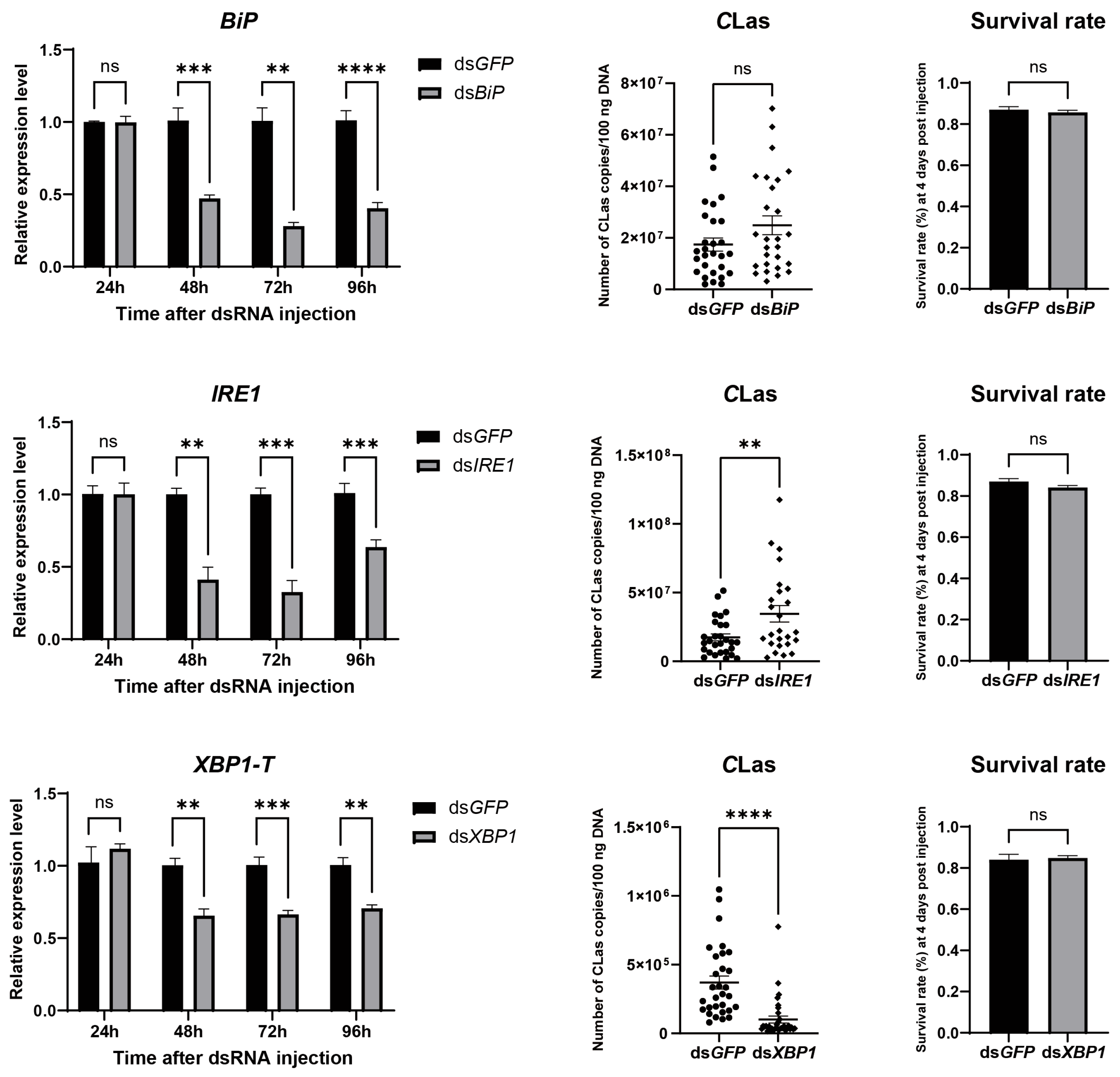 Insects 17 00260 g007 Insects 17 00260 g007