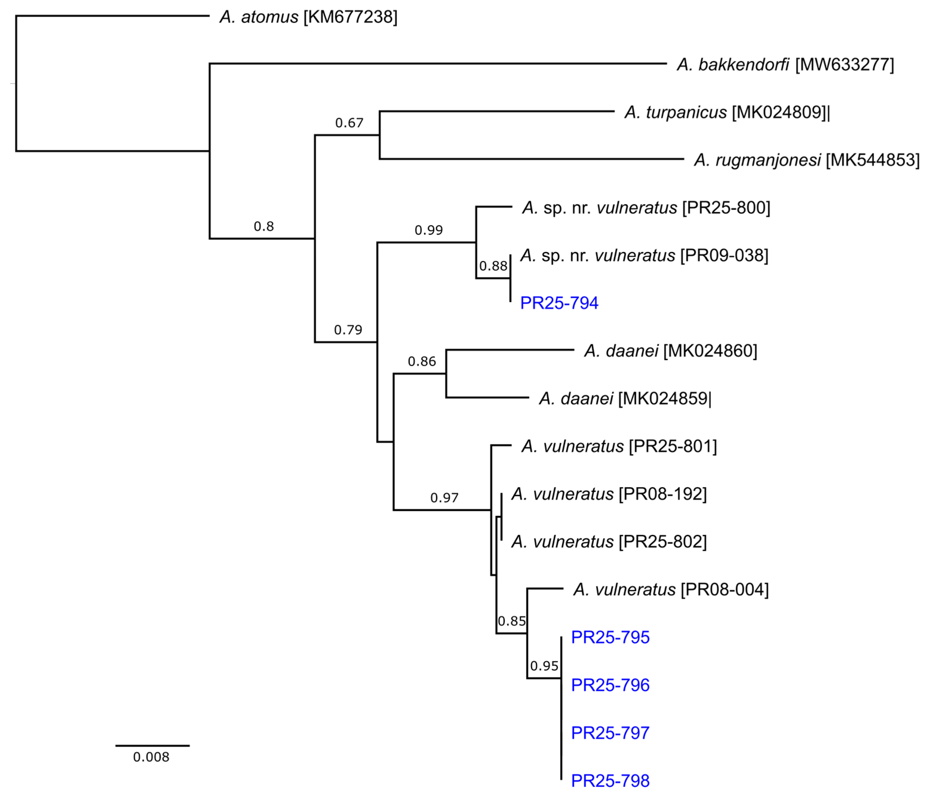 Insects 17 00269 g002