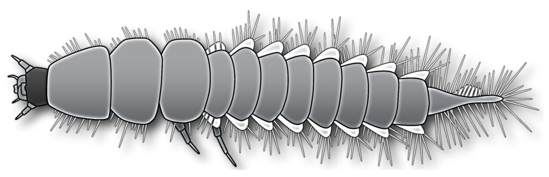 Insects 17 00271 g001