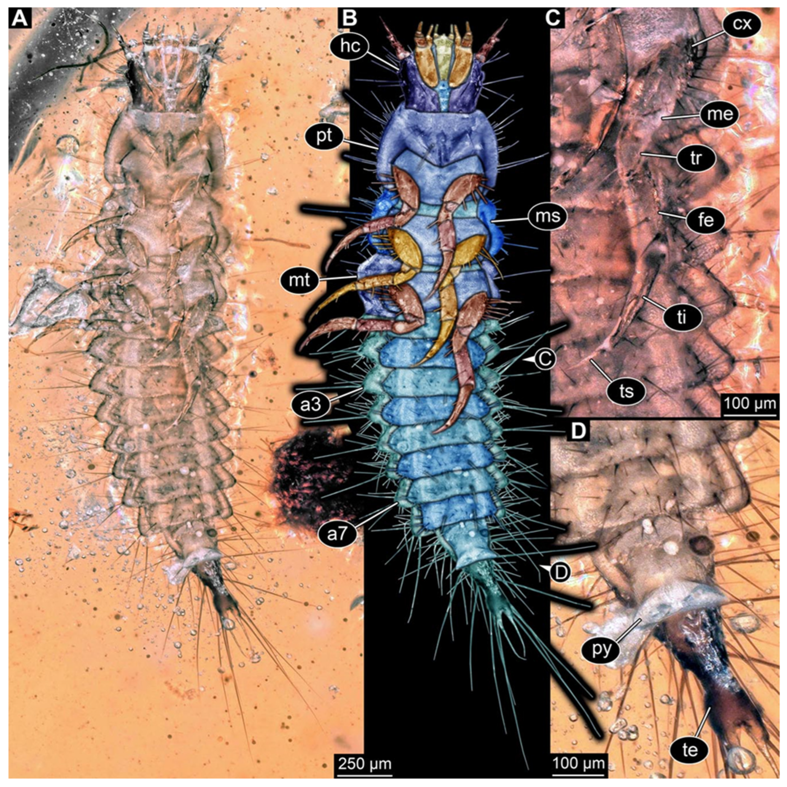 Insects 17 00271 g002