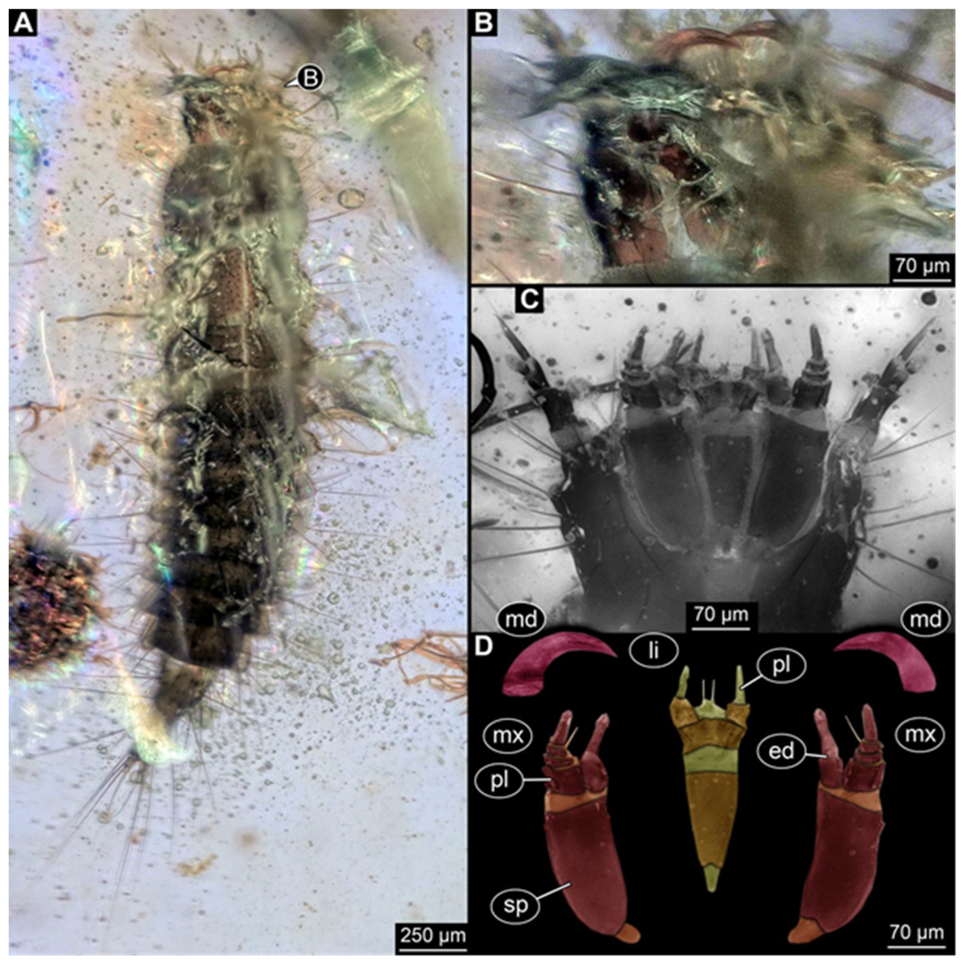 Insects 17 00271 g003