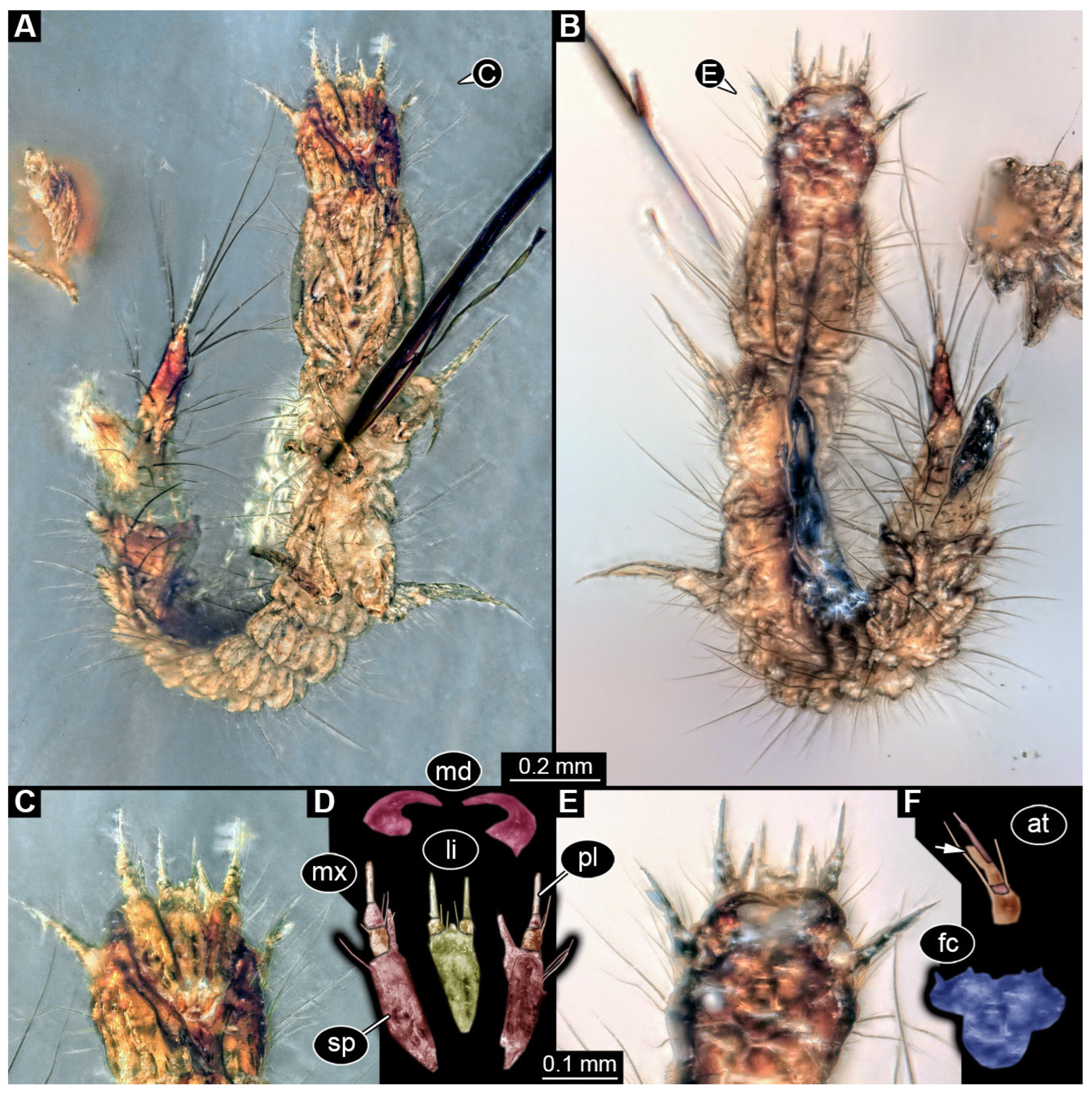 Insects 17 00271 g004