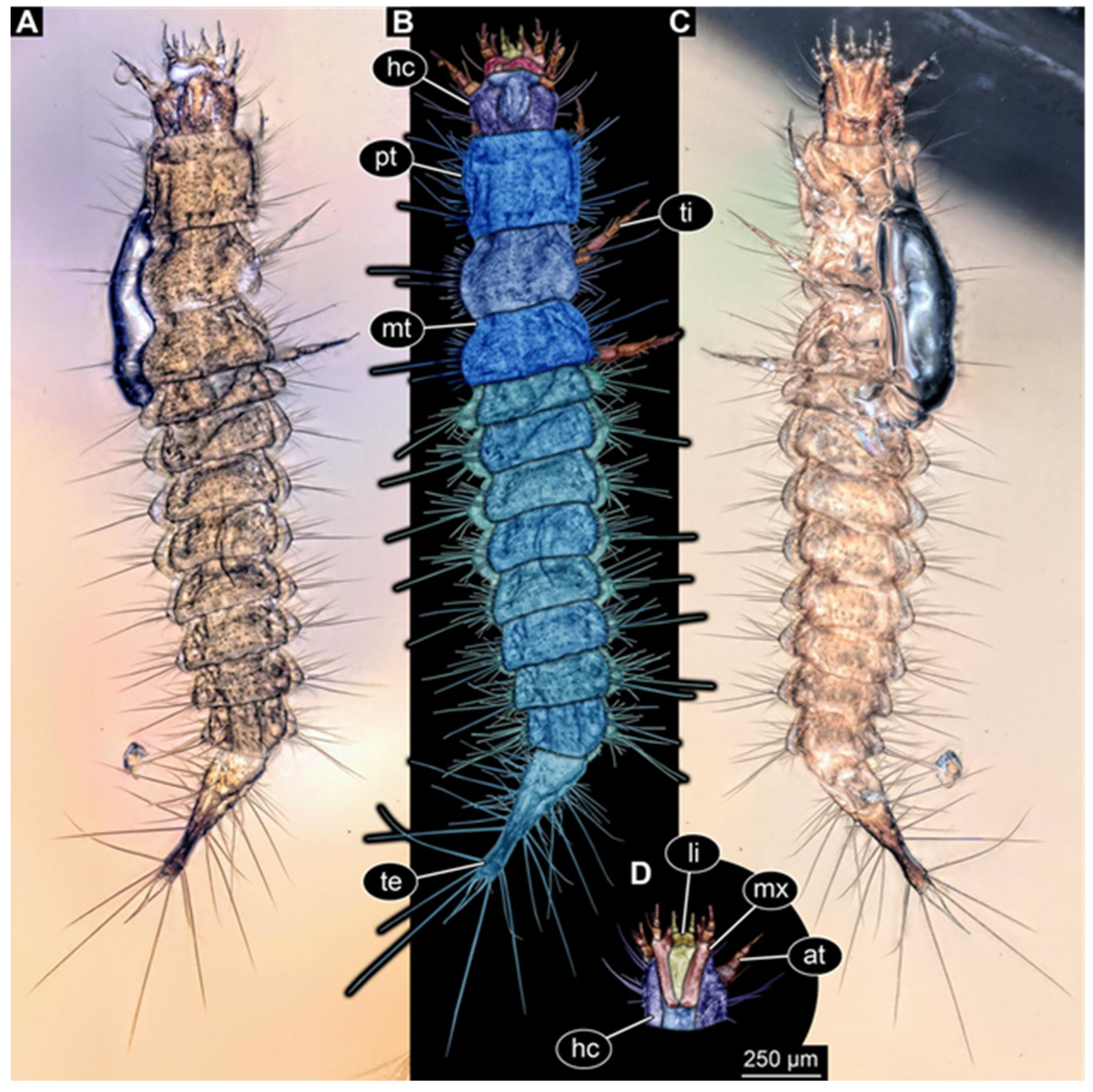 Insects 17 00271 g005