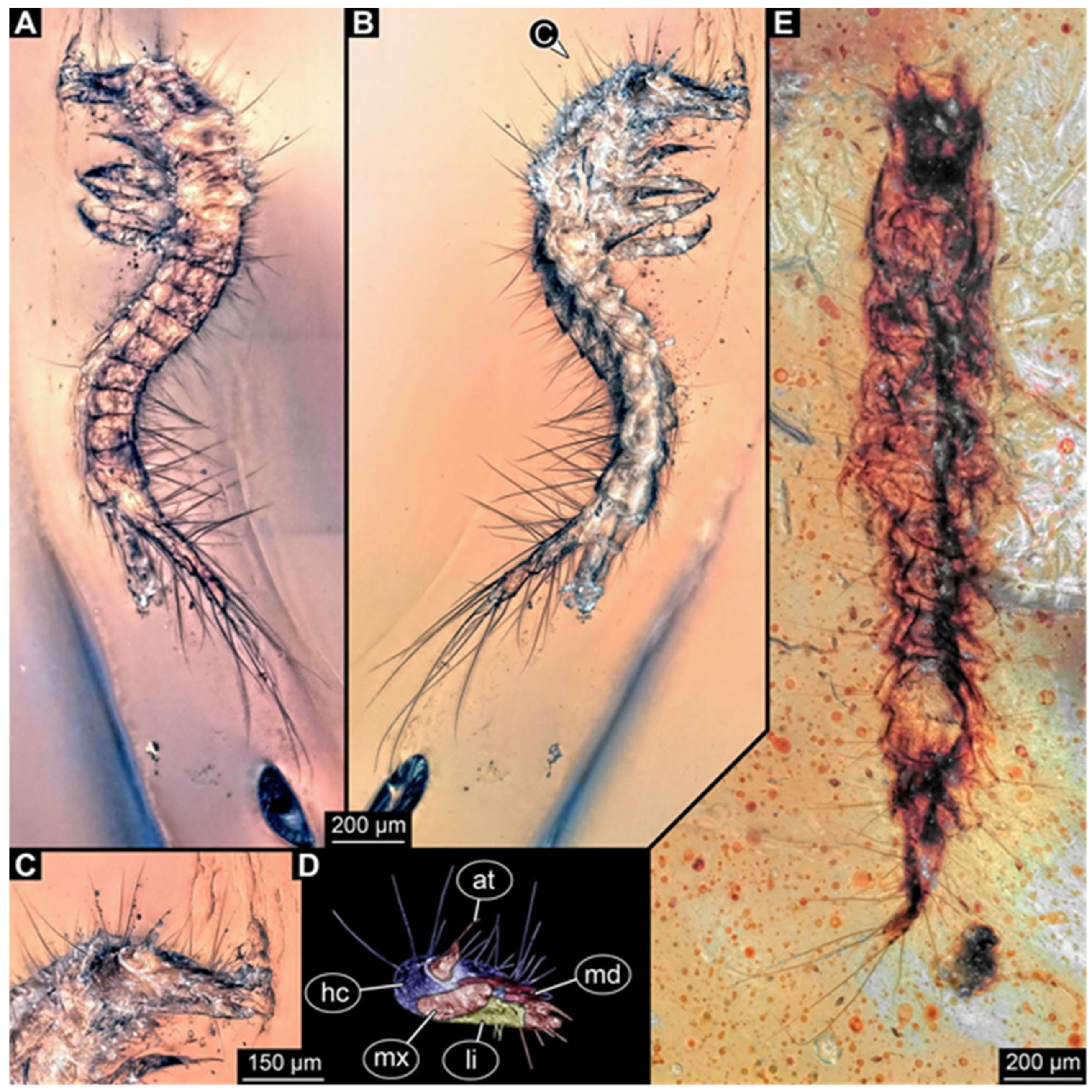 Insects 17 00271 g006