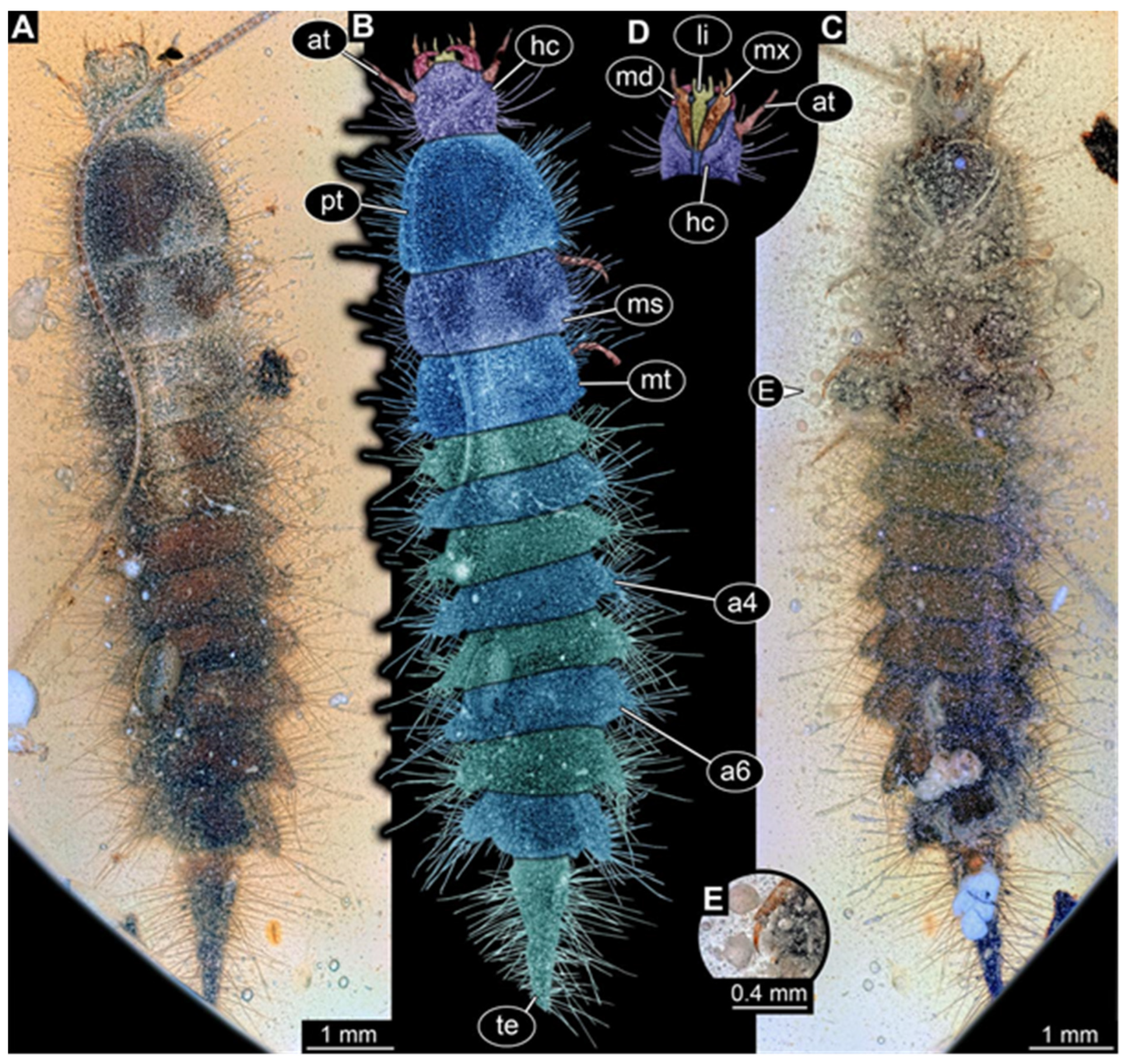 Insects 17 00271 g008