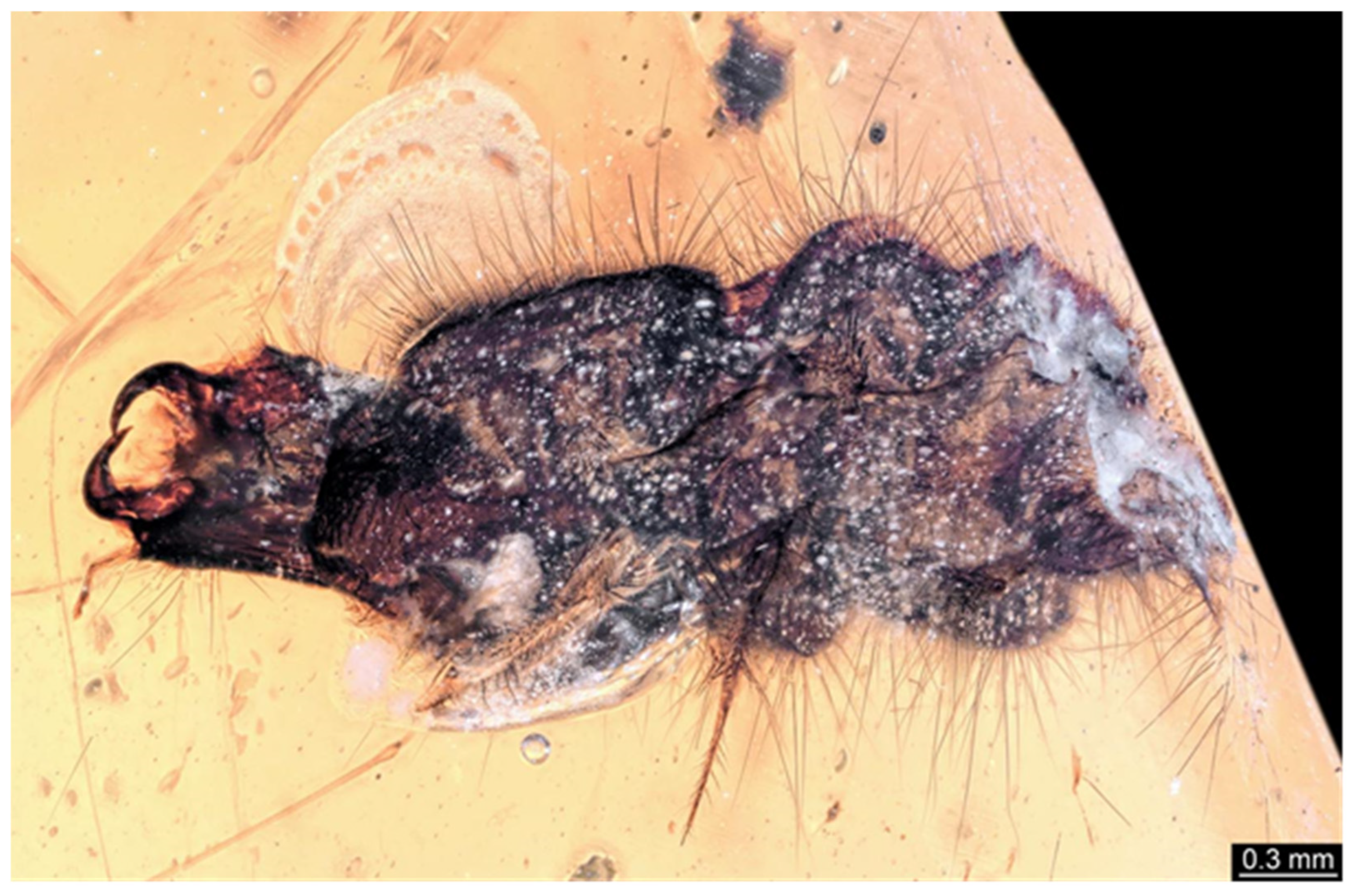 Insects 17 00271 g009