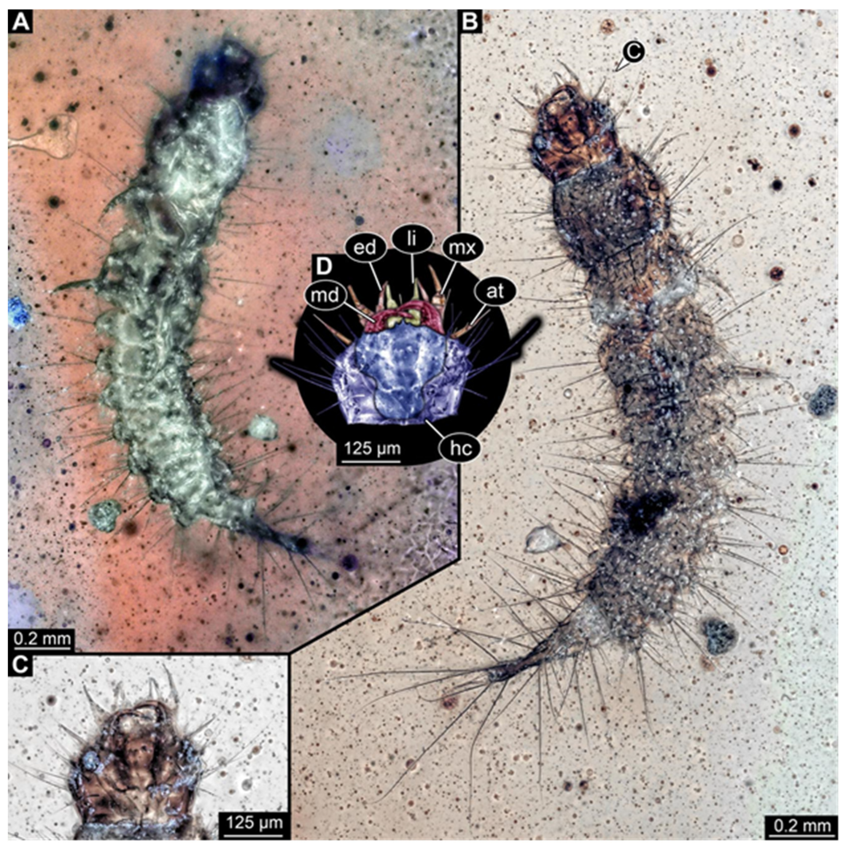 Insects 17 00271 g010