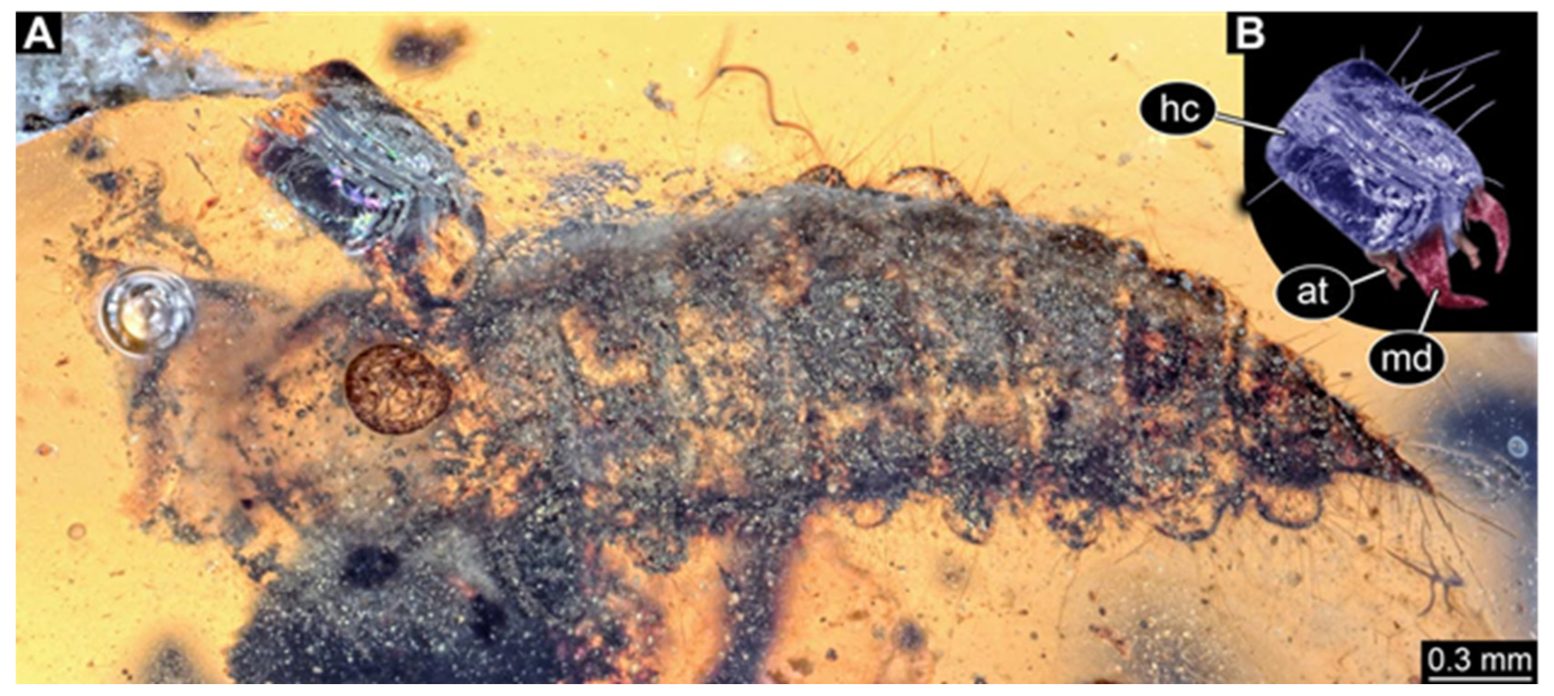 Insects 17 00271 g012