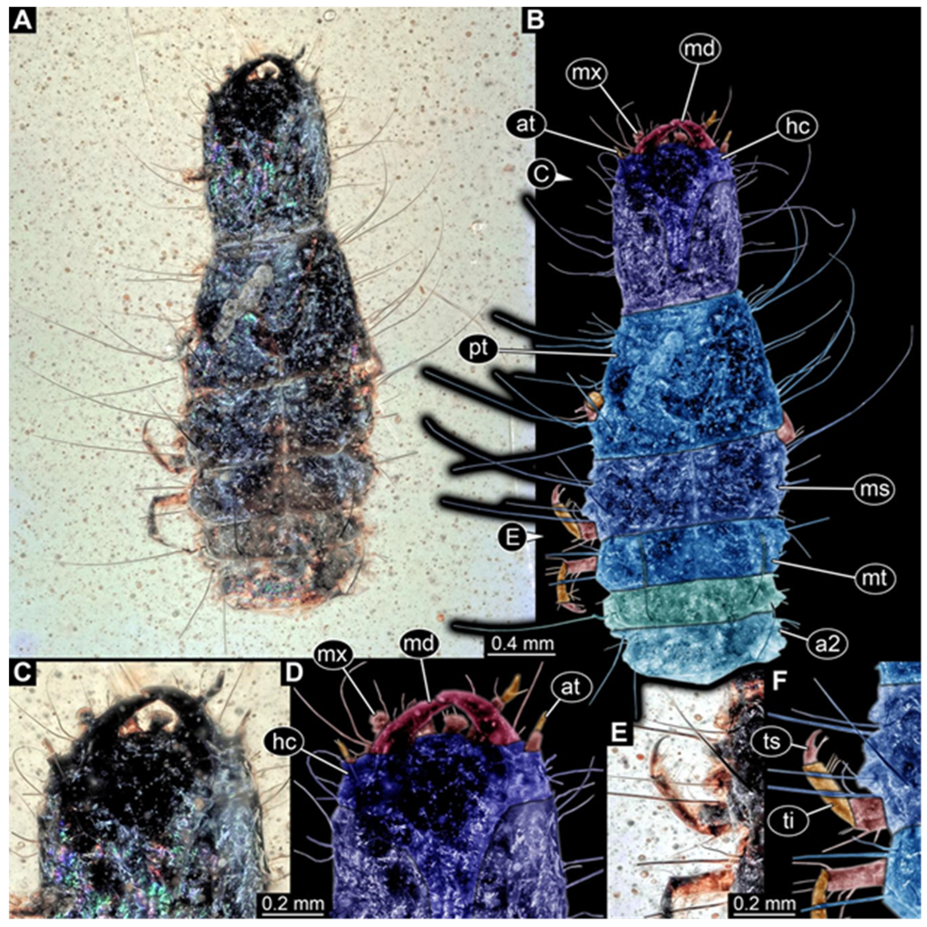 Insects 17 00271 g013