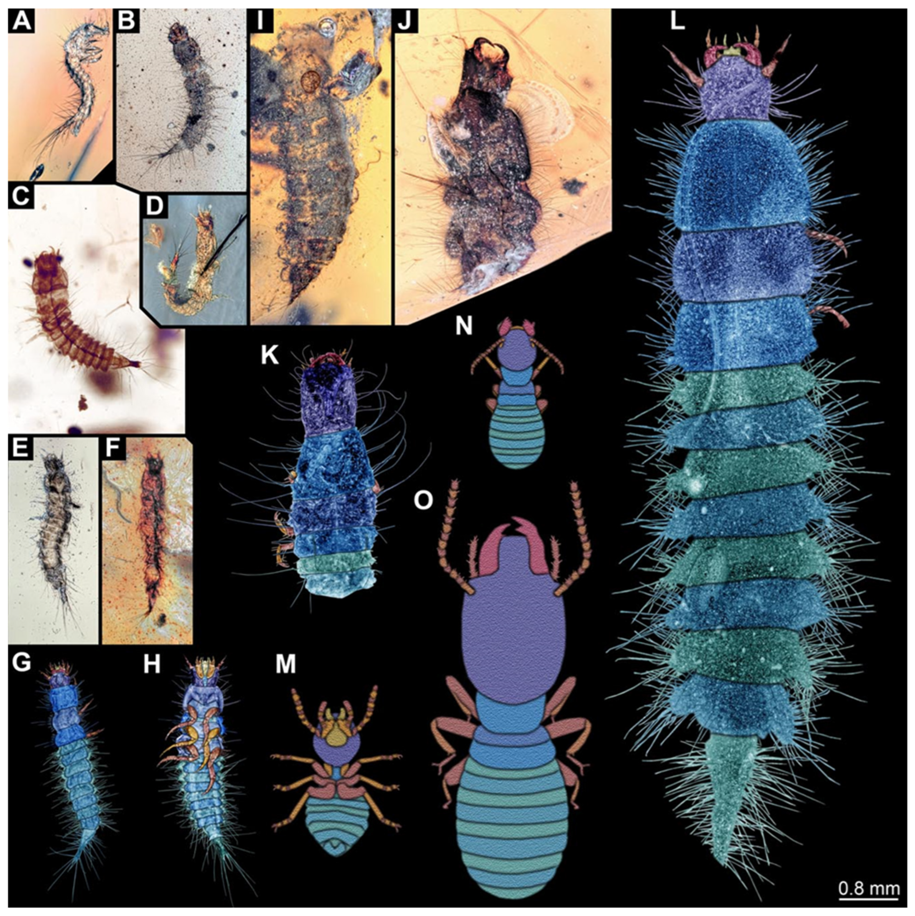 Insects 17 00271 g014