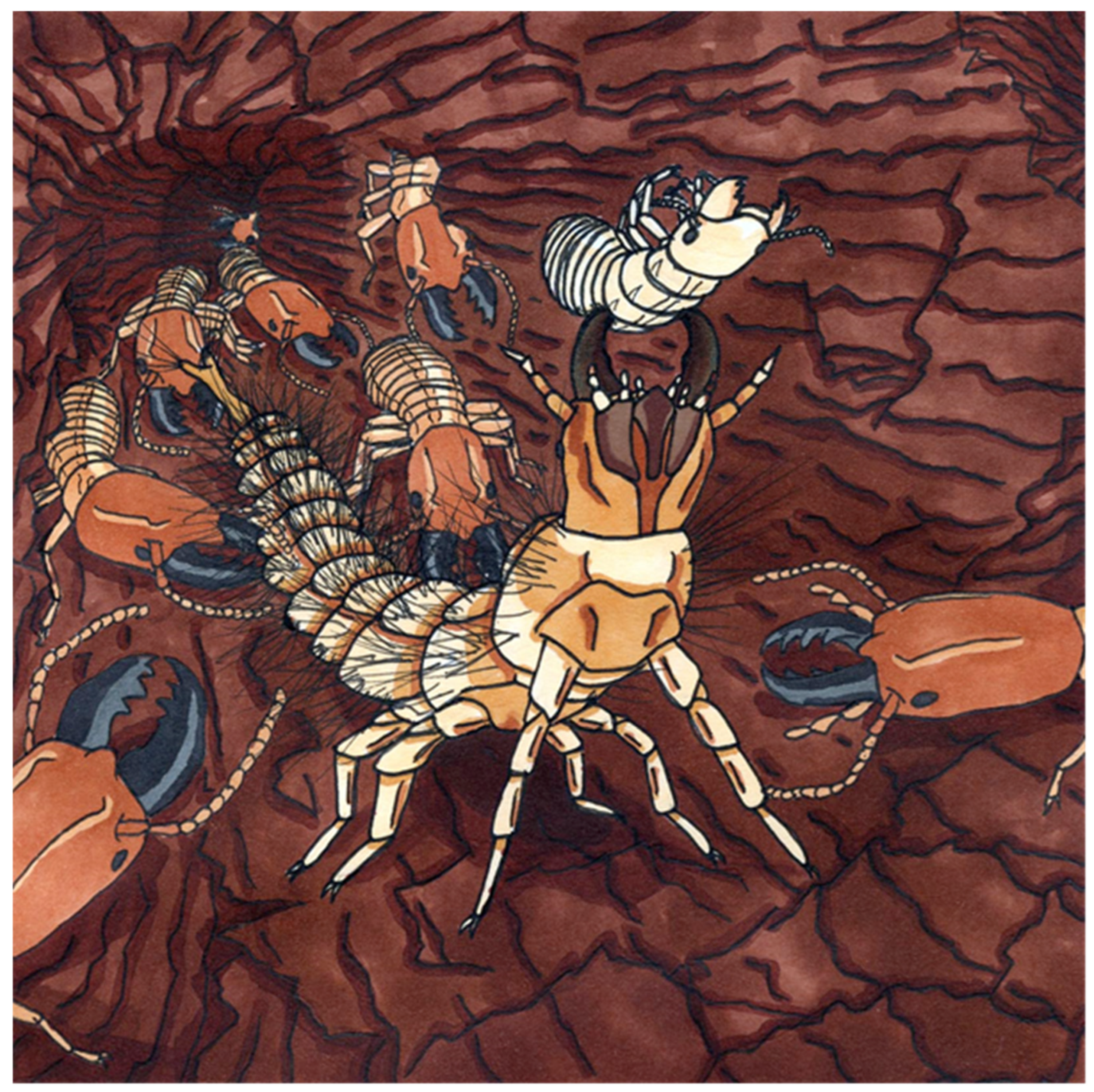 Insects 17 00271 g016