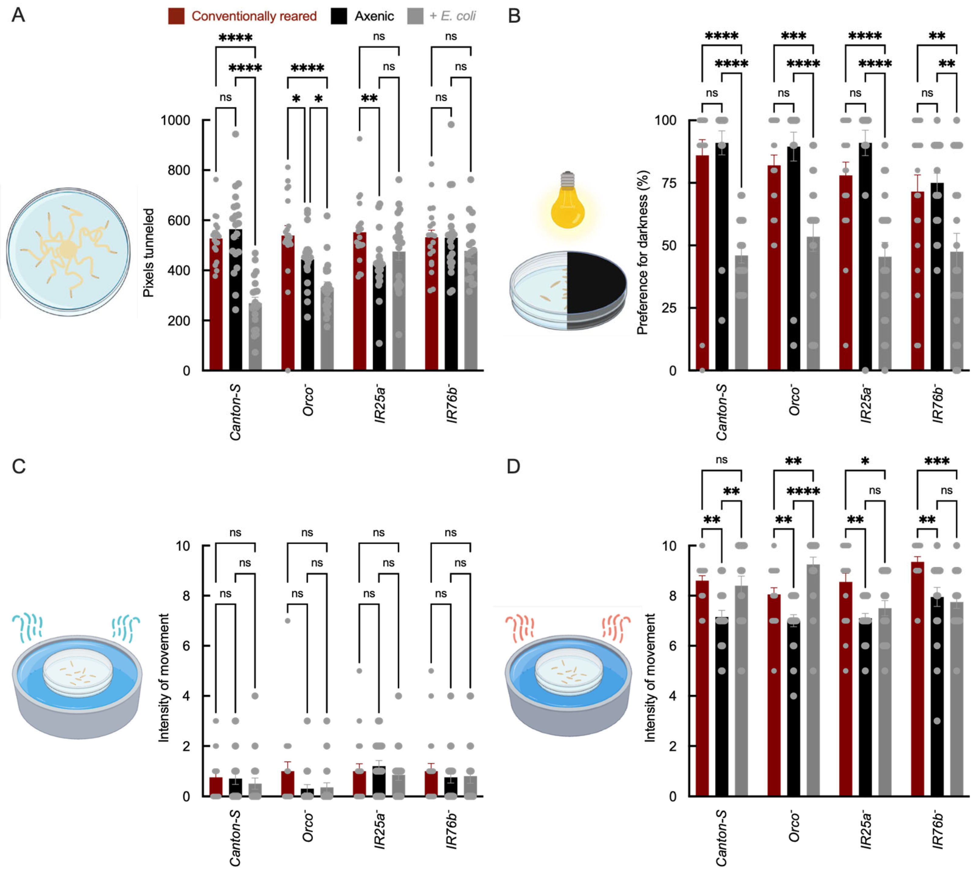Insects 17 00275 g001 Insects 17 00275 g001