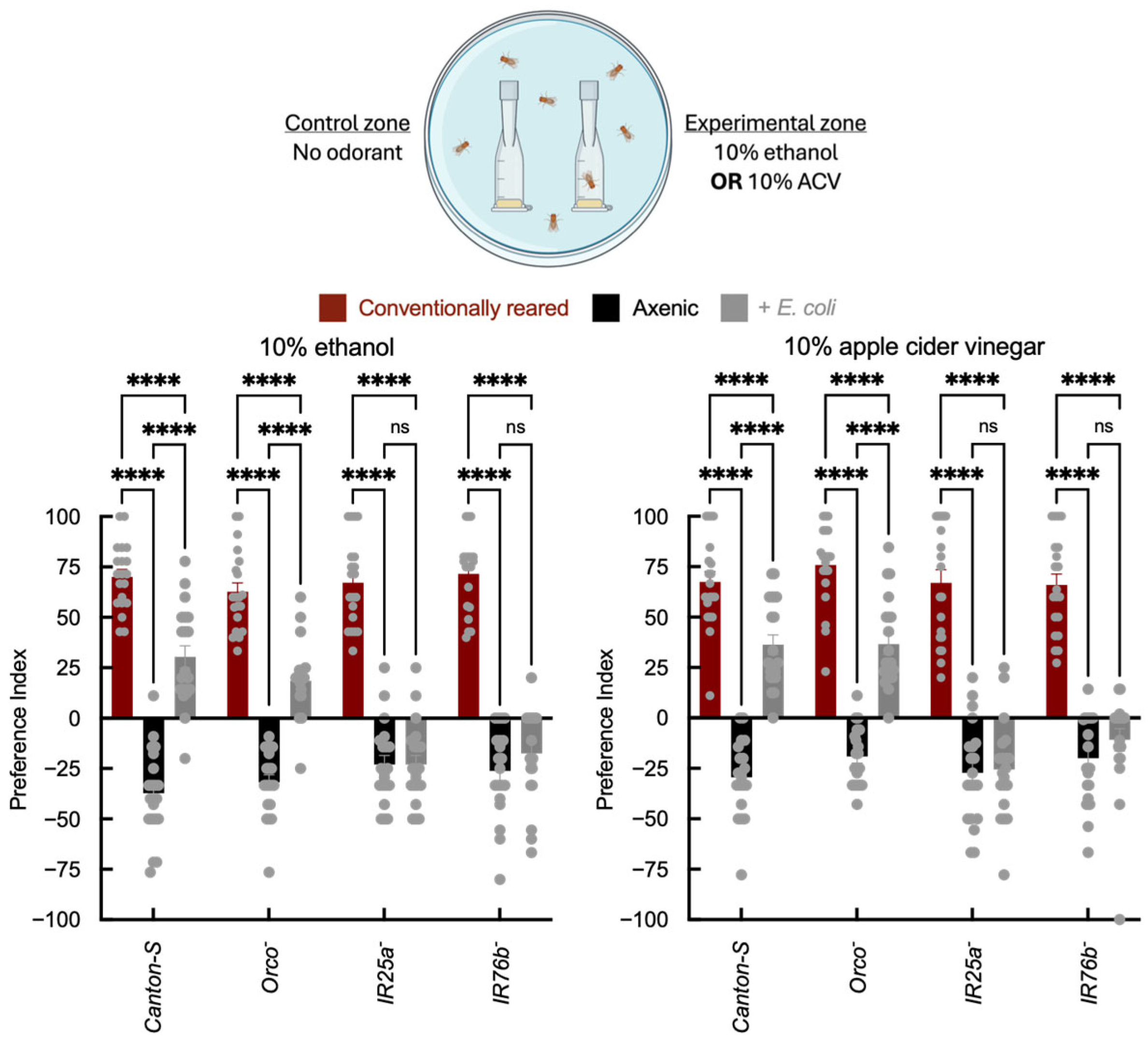 Insects 17 00275 g002 Insects 17 00275 g002
