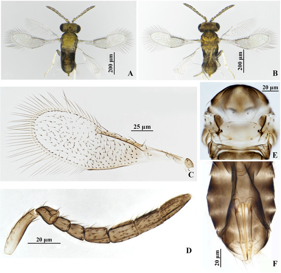 Insects 17 00282 g003
