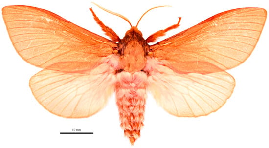 Insects 17 00299 g009