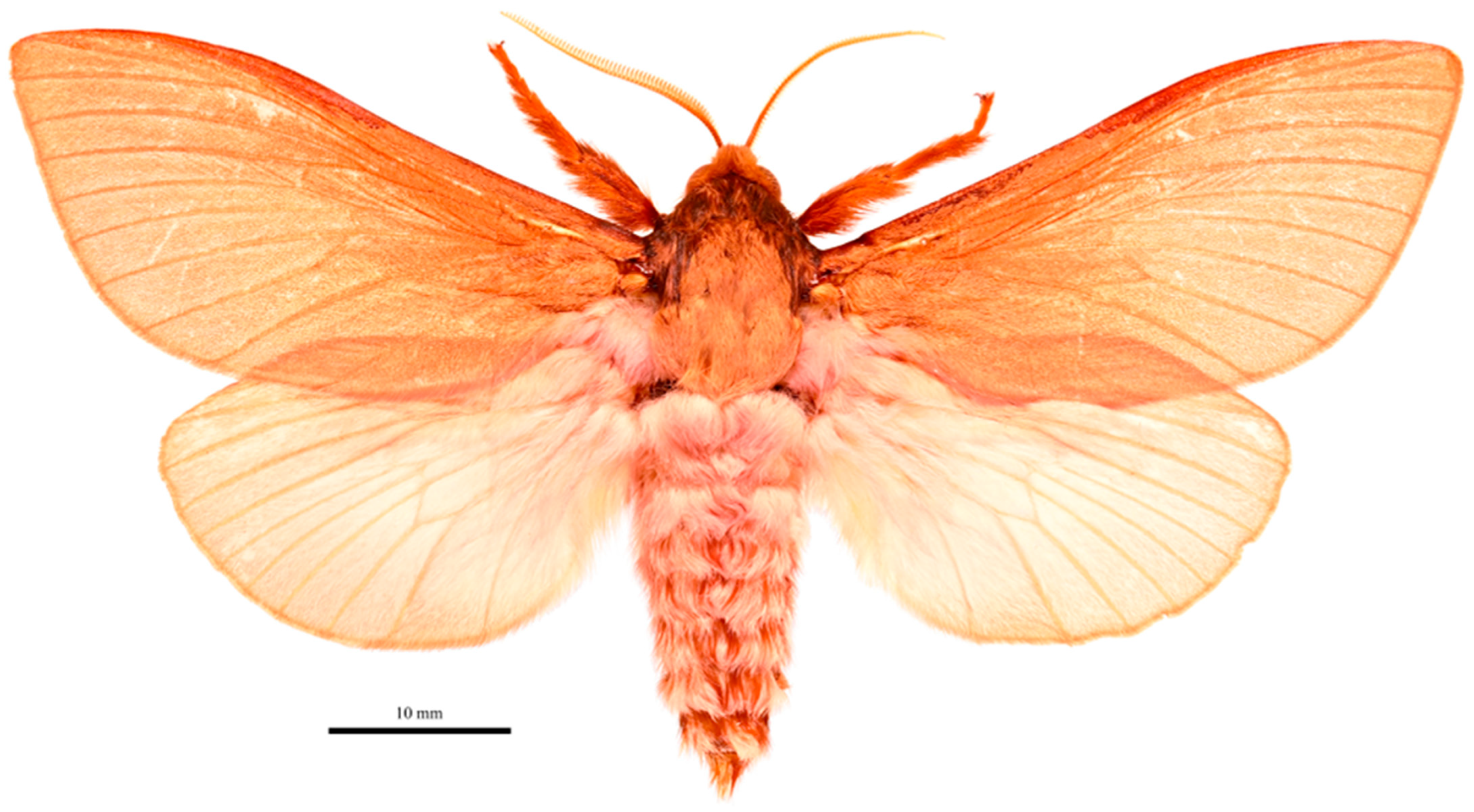 Insects 17 00299 g009
