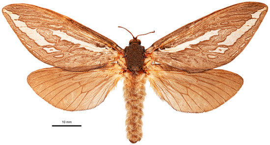 Insects 17 00299 g013