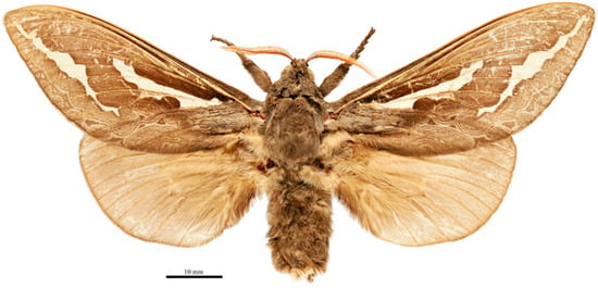Insects 17 00299 g018