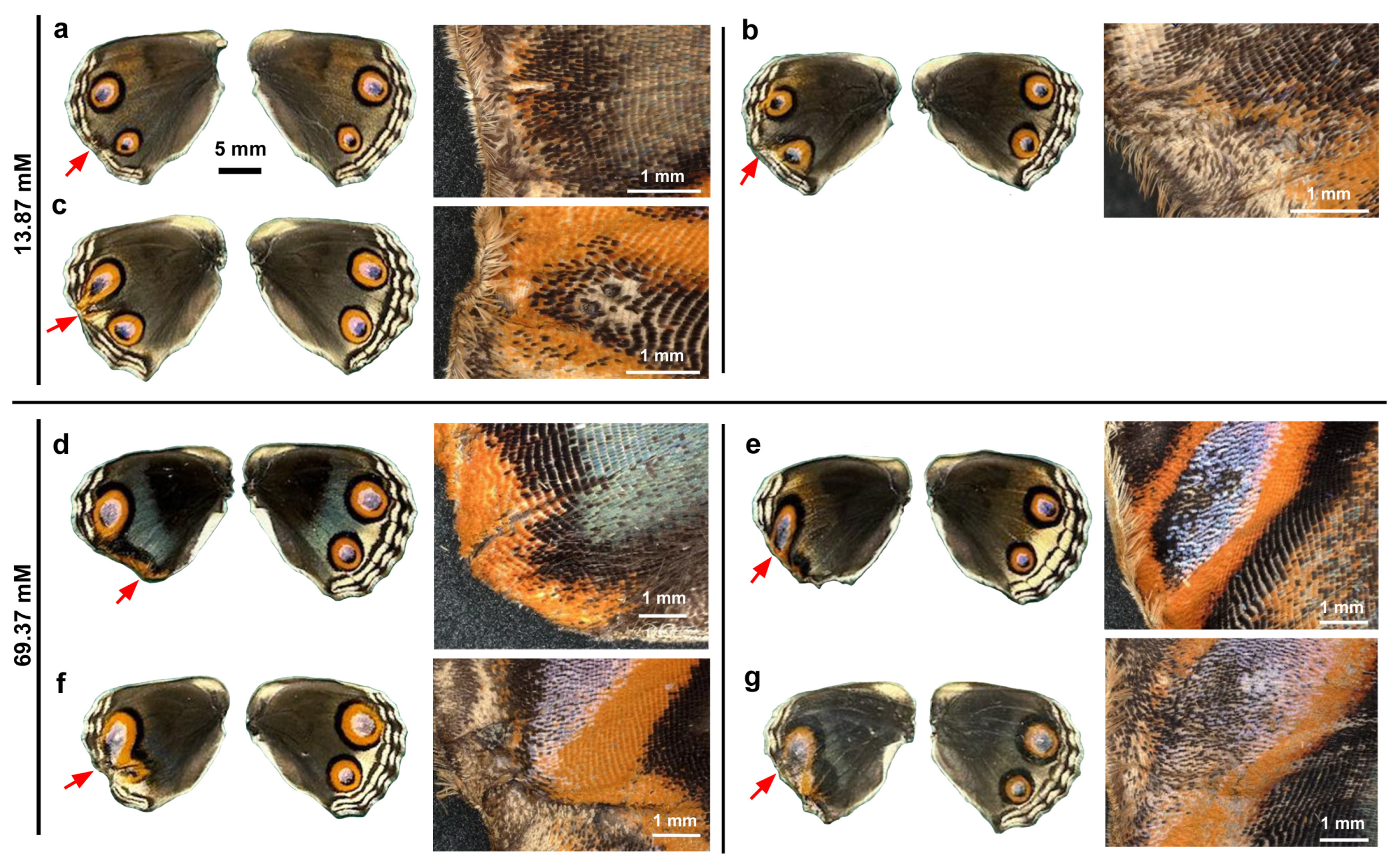 Insects 17 00300 g005 Insects 17 00300 g005