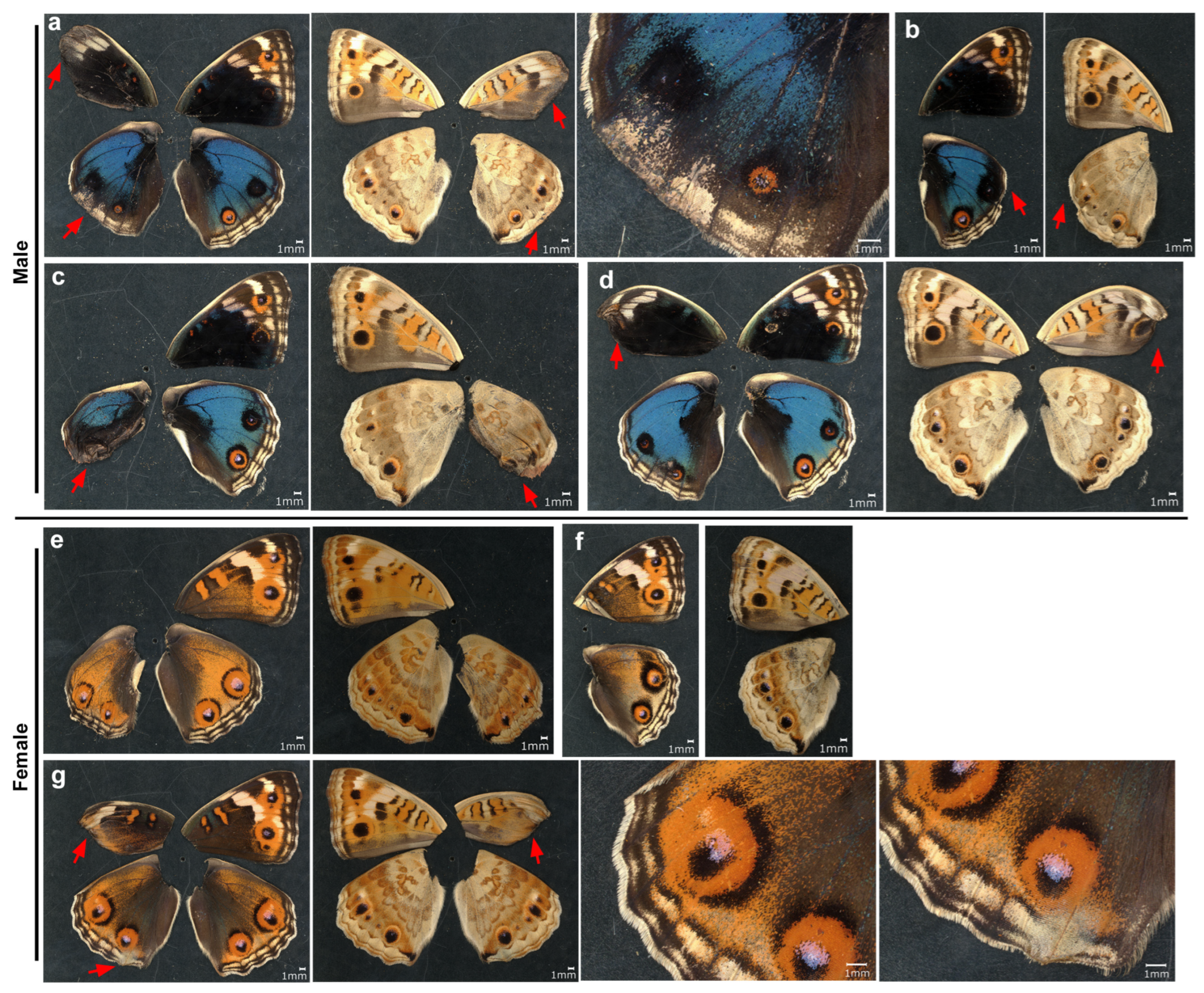 Insects 17 00300 g010 Insects 17 00300 g010