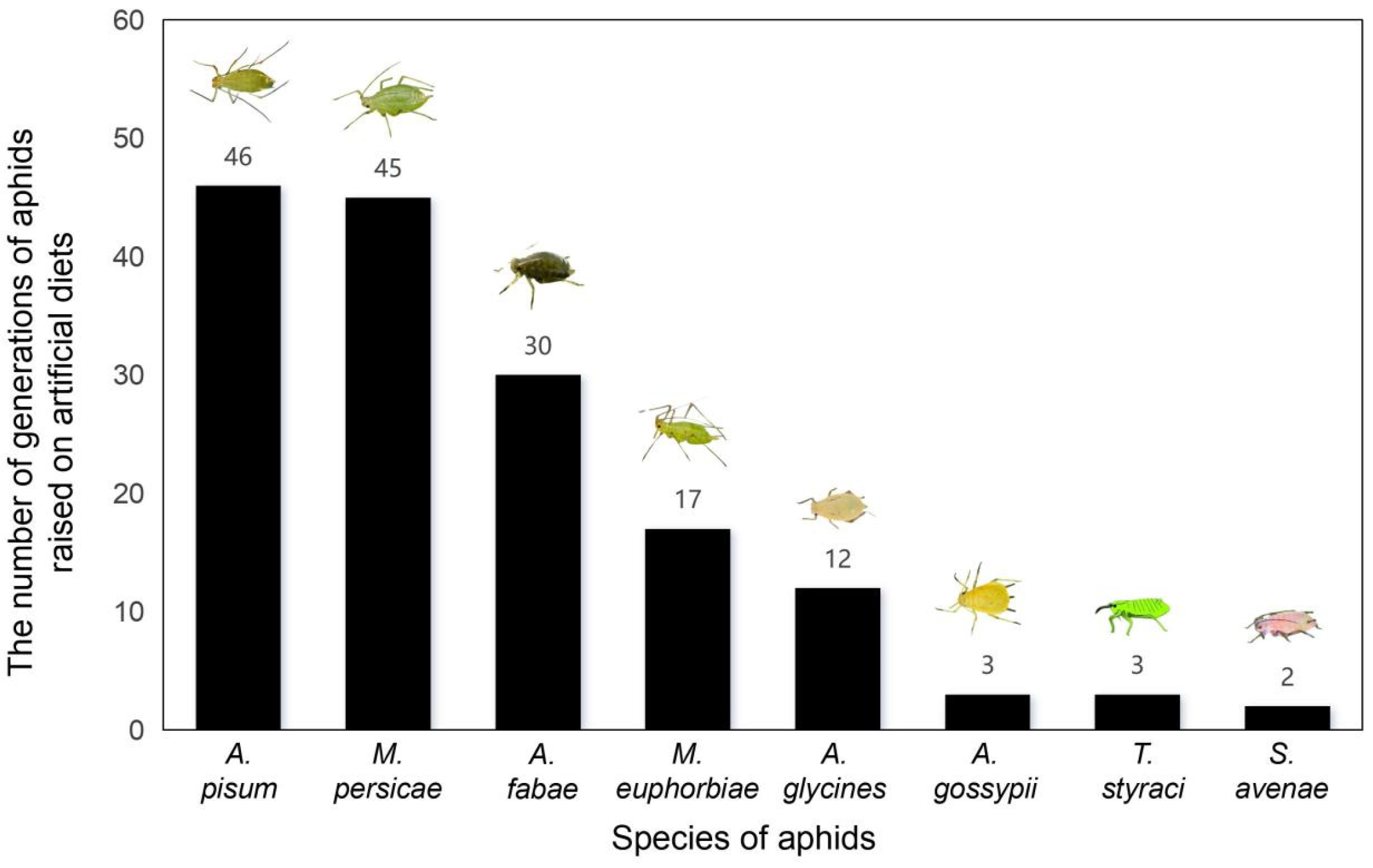 Insects 17 00326 g001 Insects 17 00326 g001