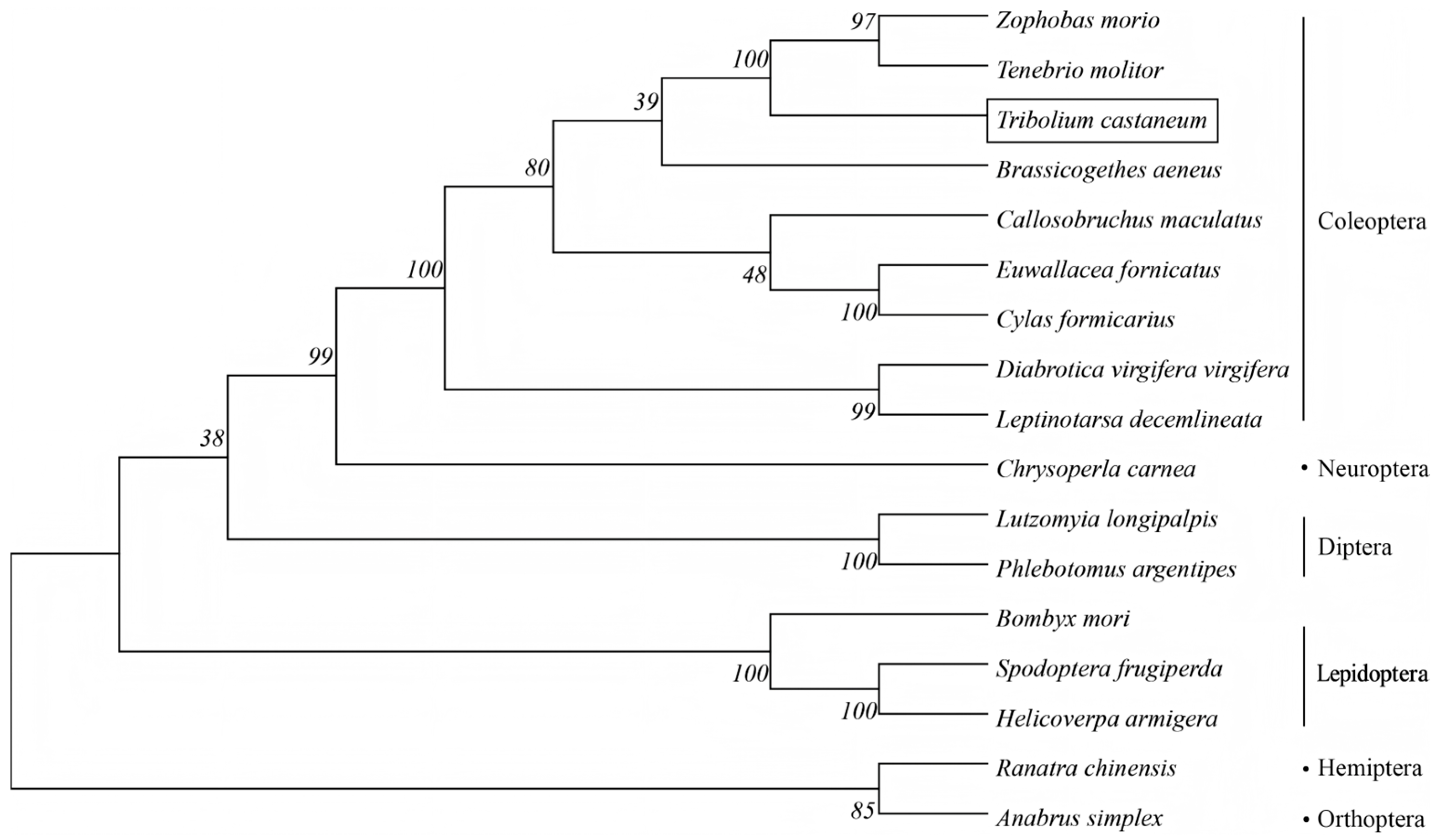 Insects 17 00343 g002
