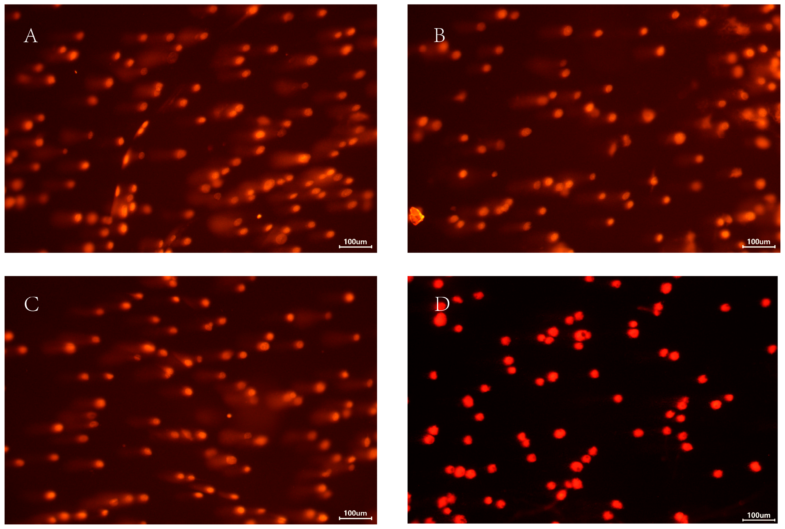 Insects 17 00343 g006