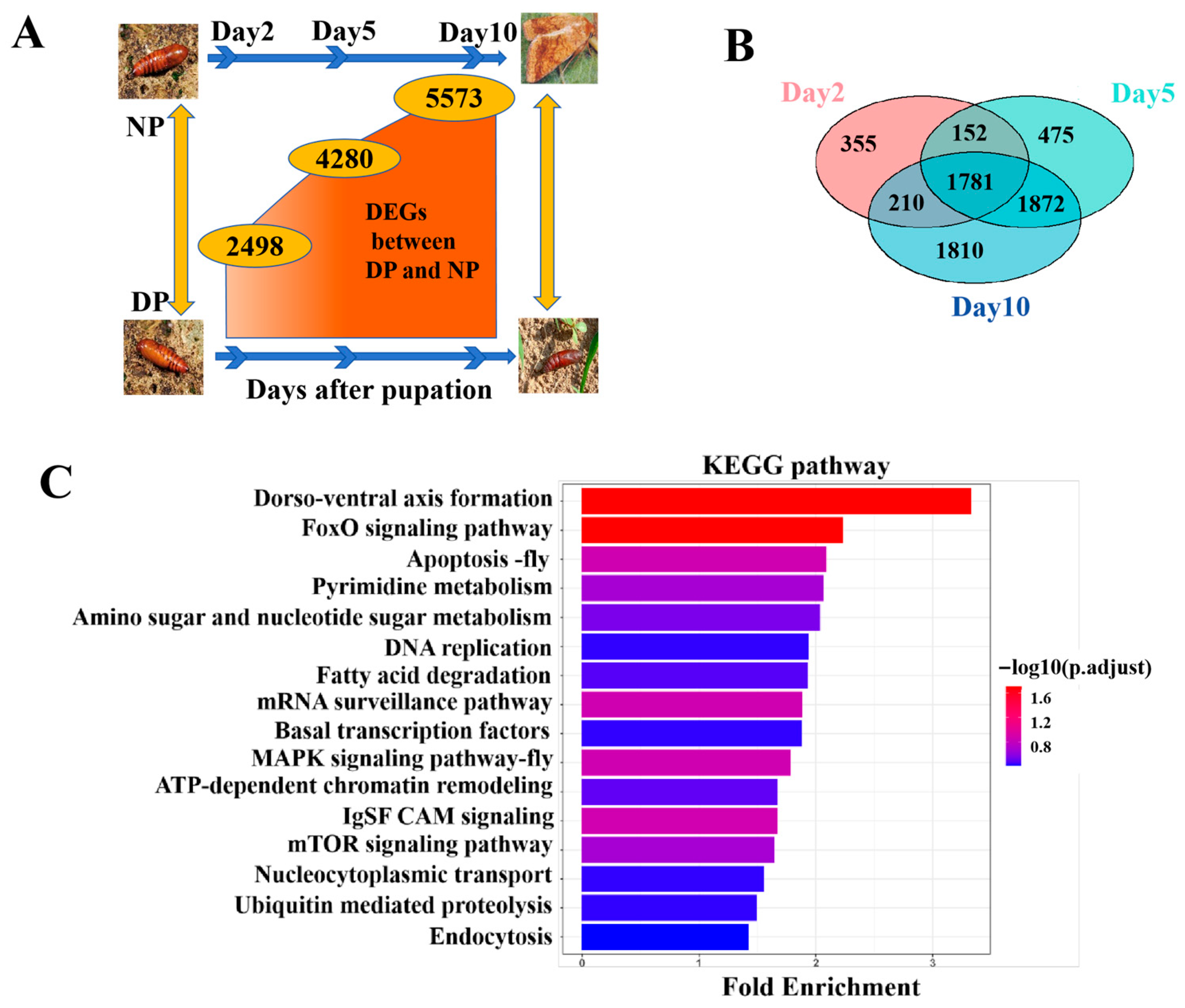 Insects 17 00352 g001