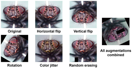 Insects 17 00381 g0a1