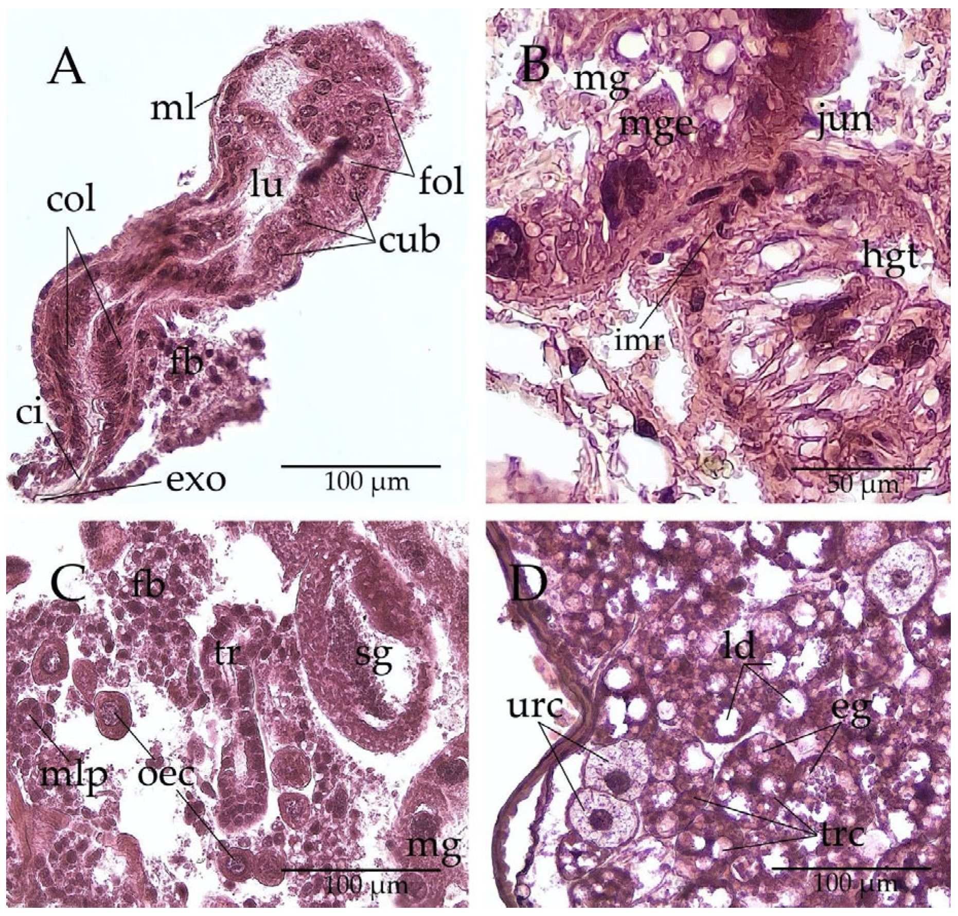 Insects 17 00752 g008 Insects 17 00752 g008
