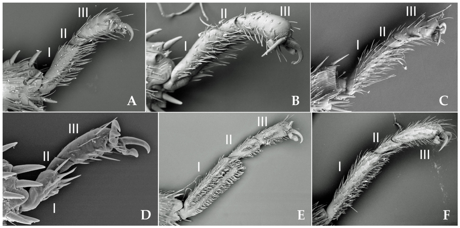 Insects 17 00835 g006