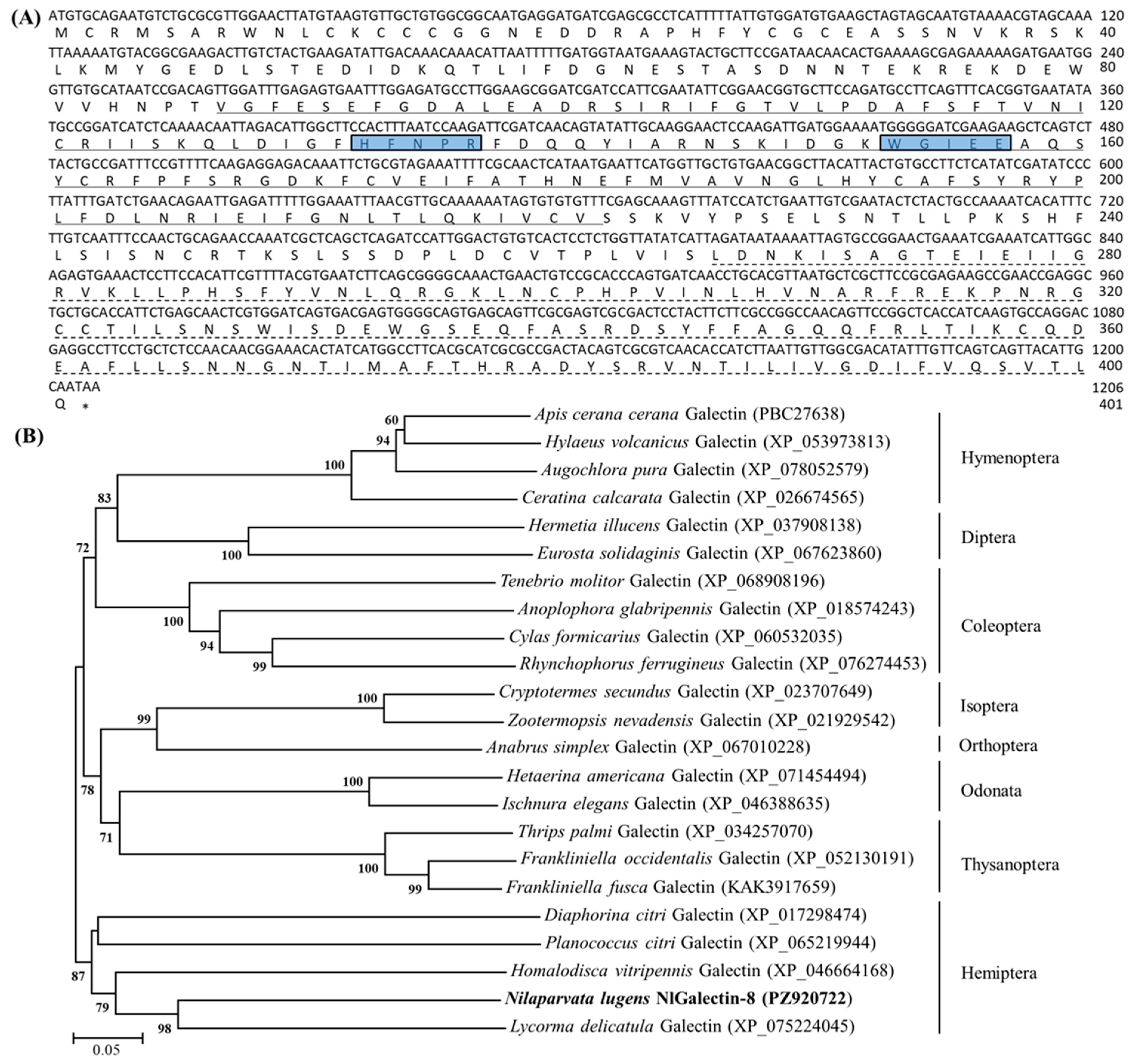 Sequence Alignment Method Functional Characterization of a Galectin Gene NlGalectin-8 Involved in ...