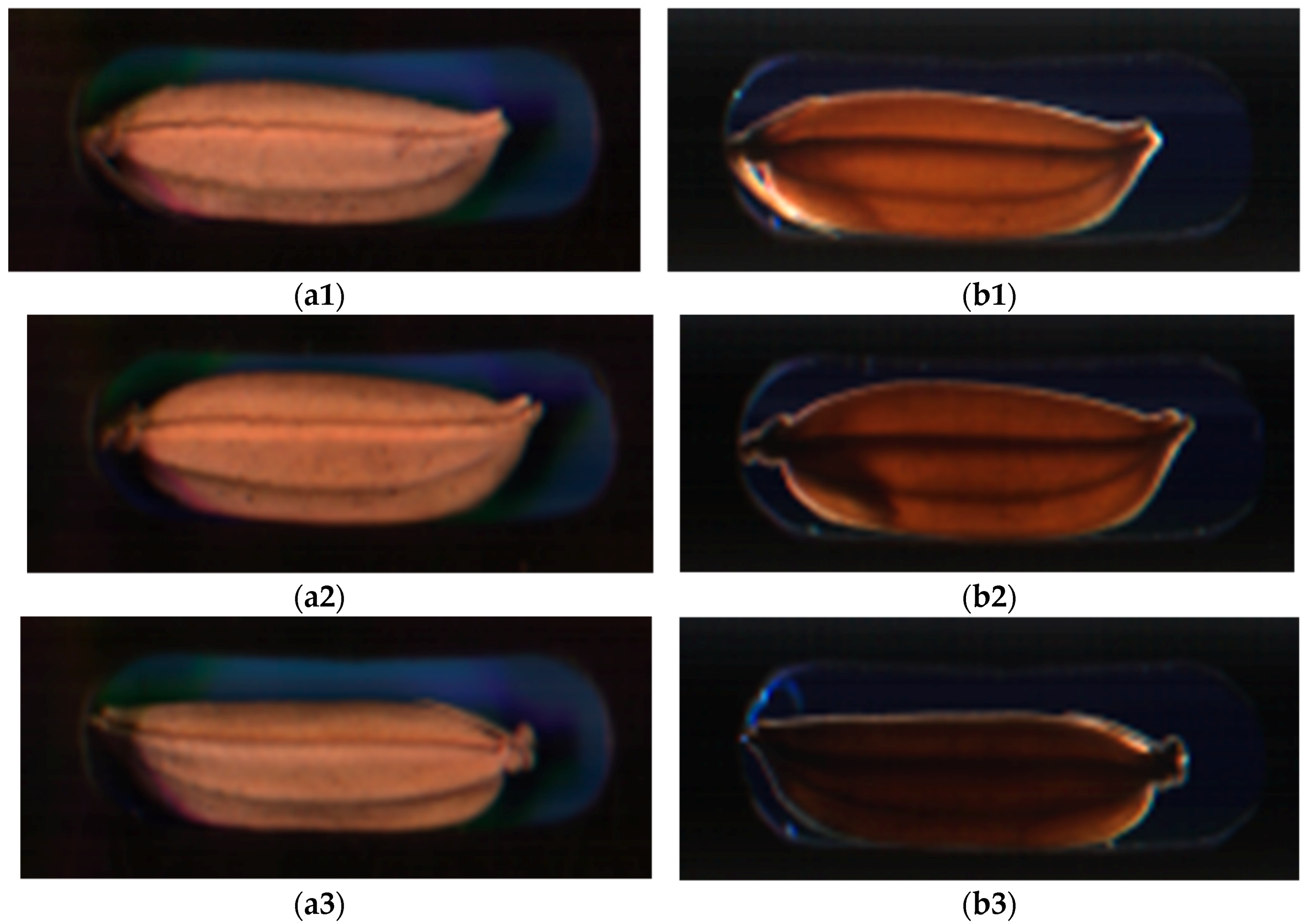 Instruments 02 00011 g006