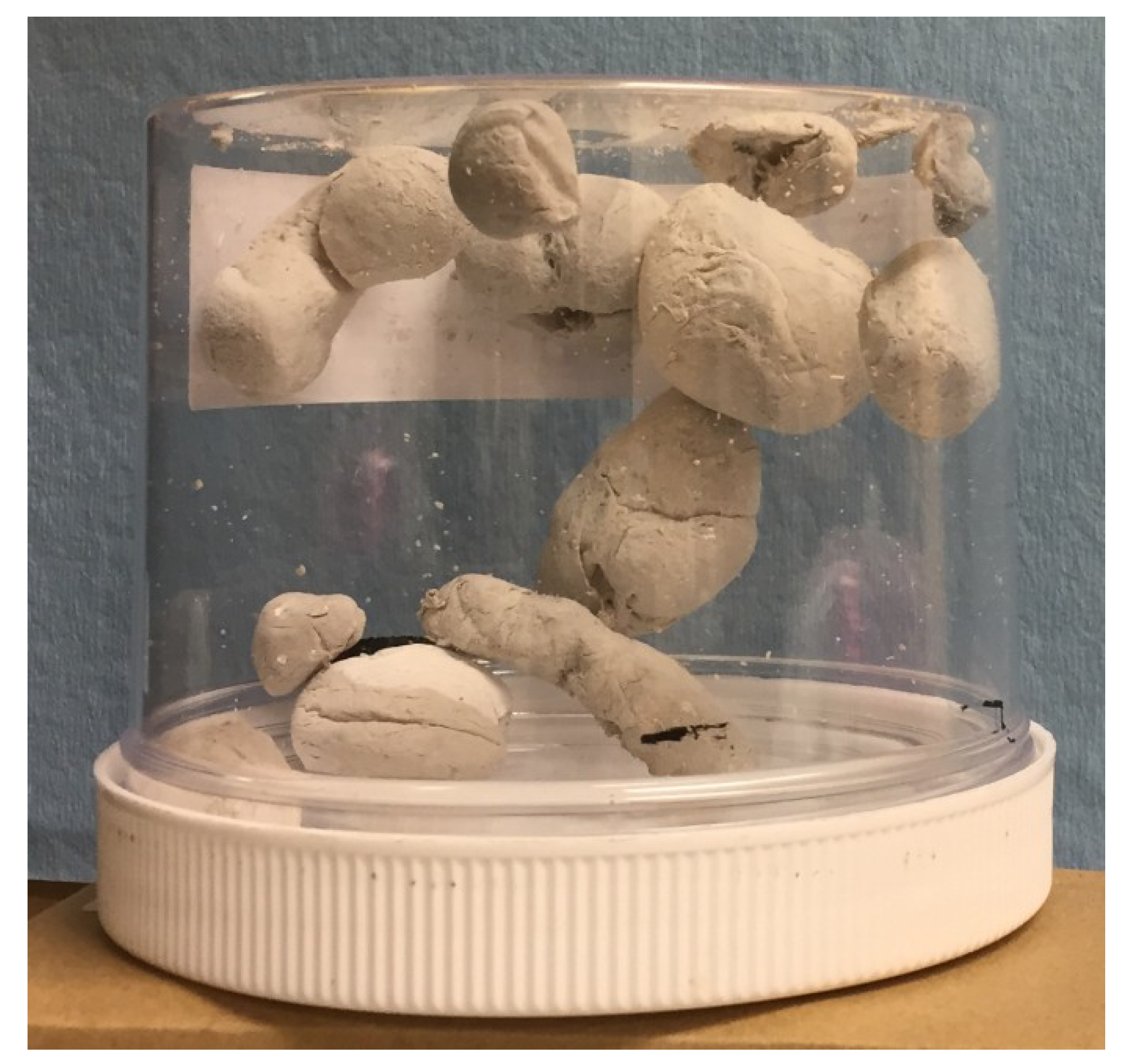 Instruments 03 00008 g002 Instruments 03 00008 g002