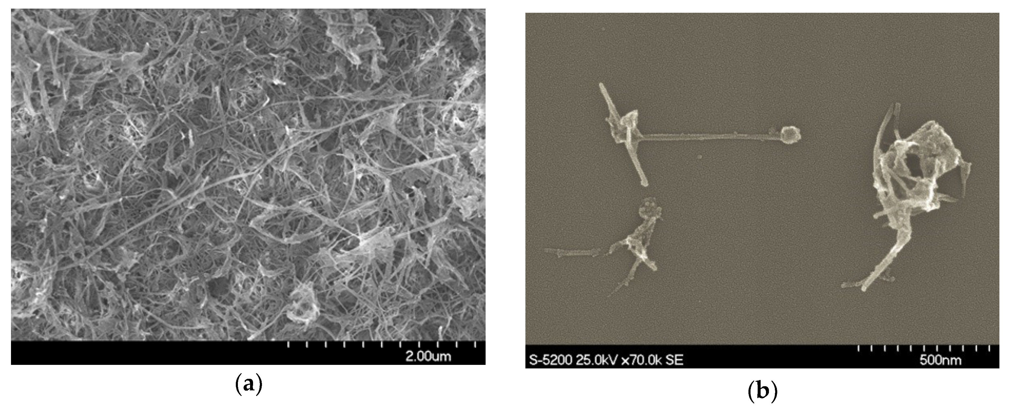 Instruments 03 00008 g003 Instruments 03 00008 g003