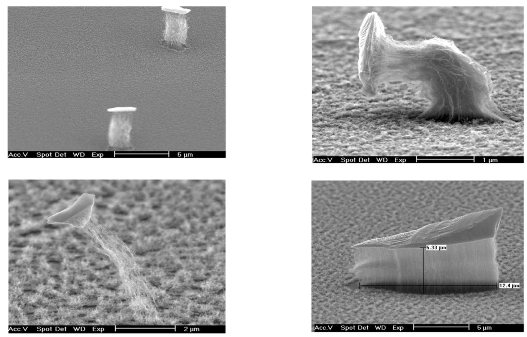 Instruments 03 00064 g008