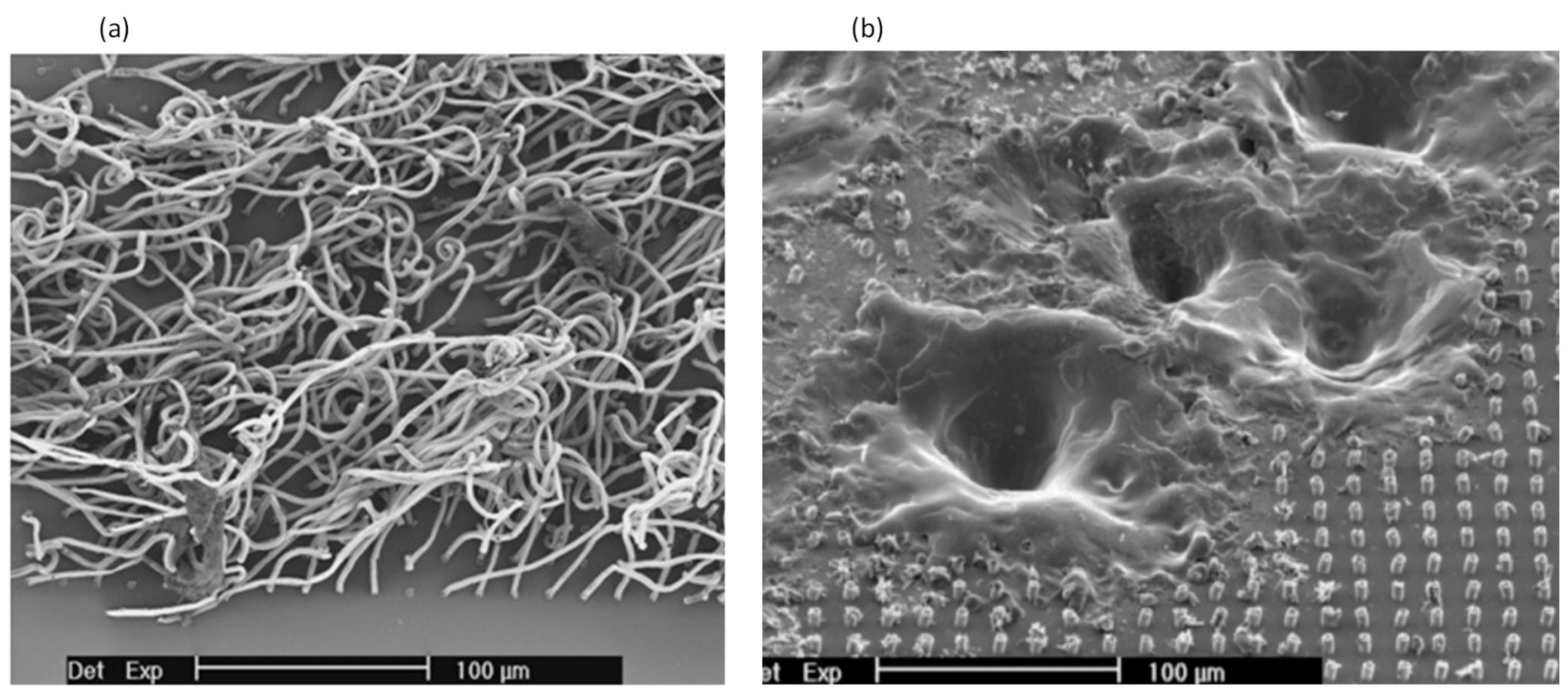 Instruments 03 00064 g009