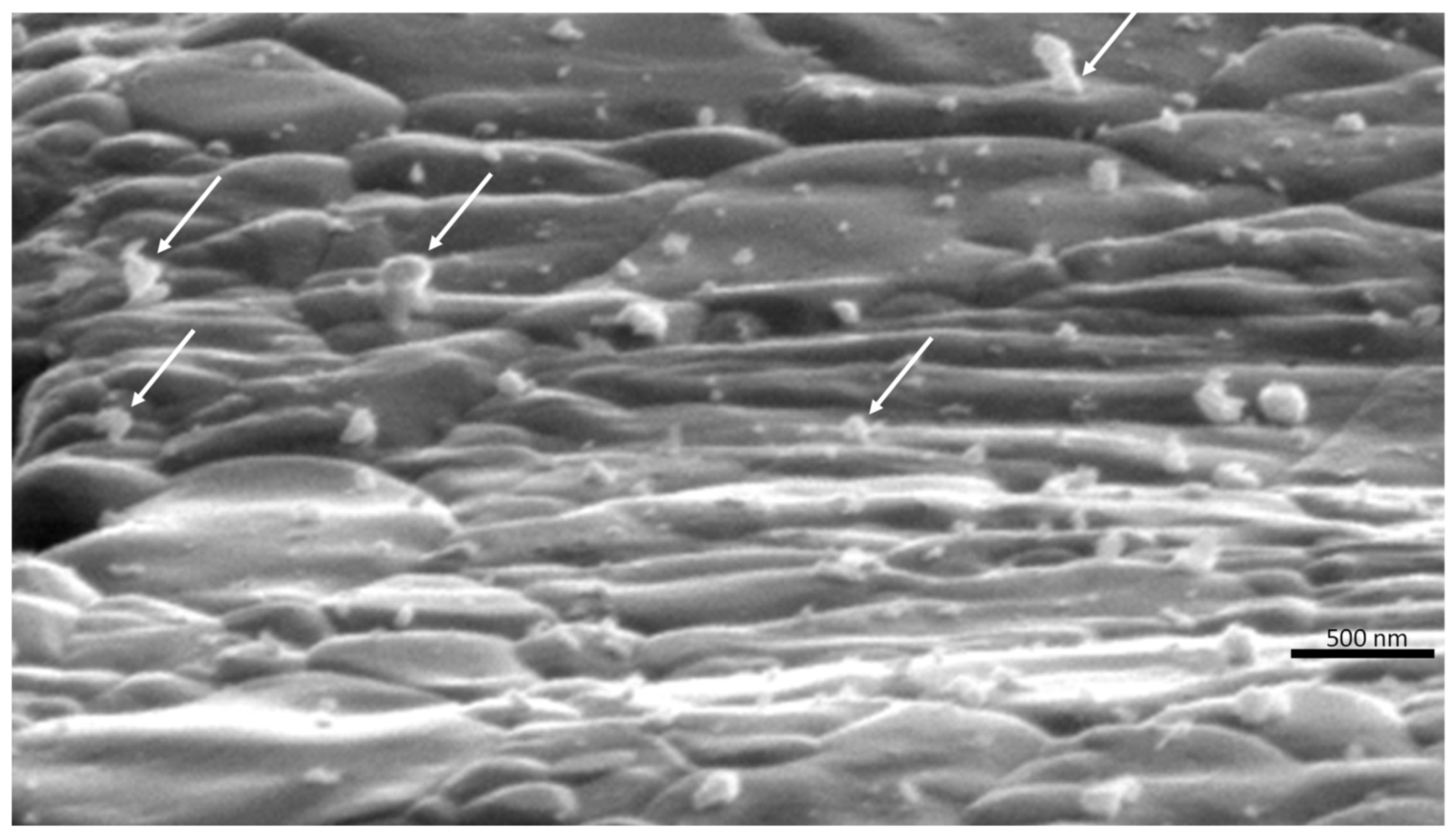 Instruments 03 00064 g028