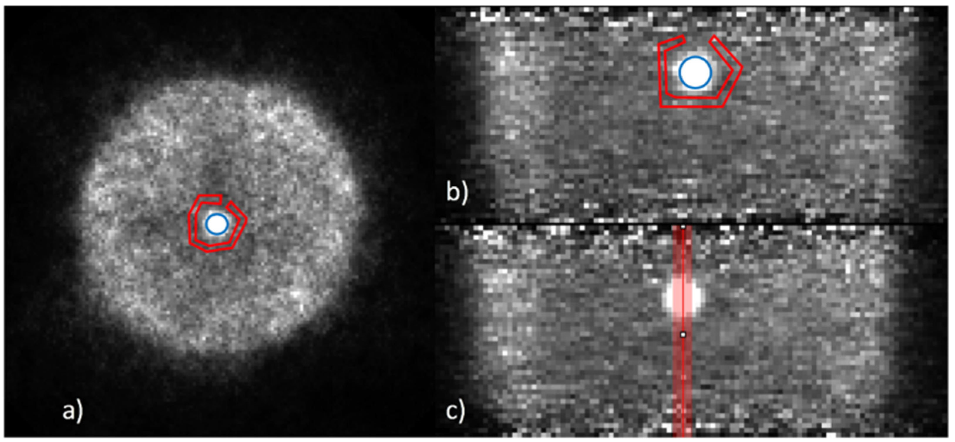 Instruments 05 00030 g004 Instruments 05 00030 g004
