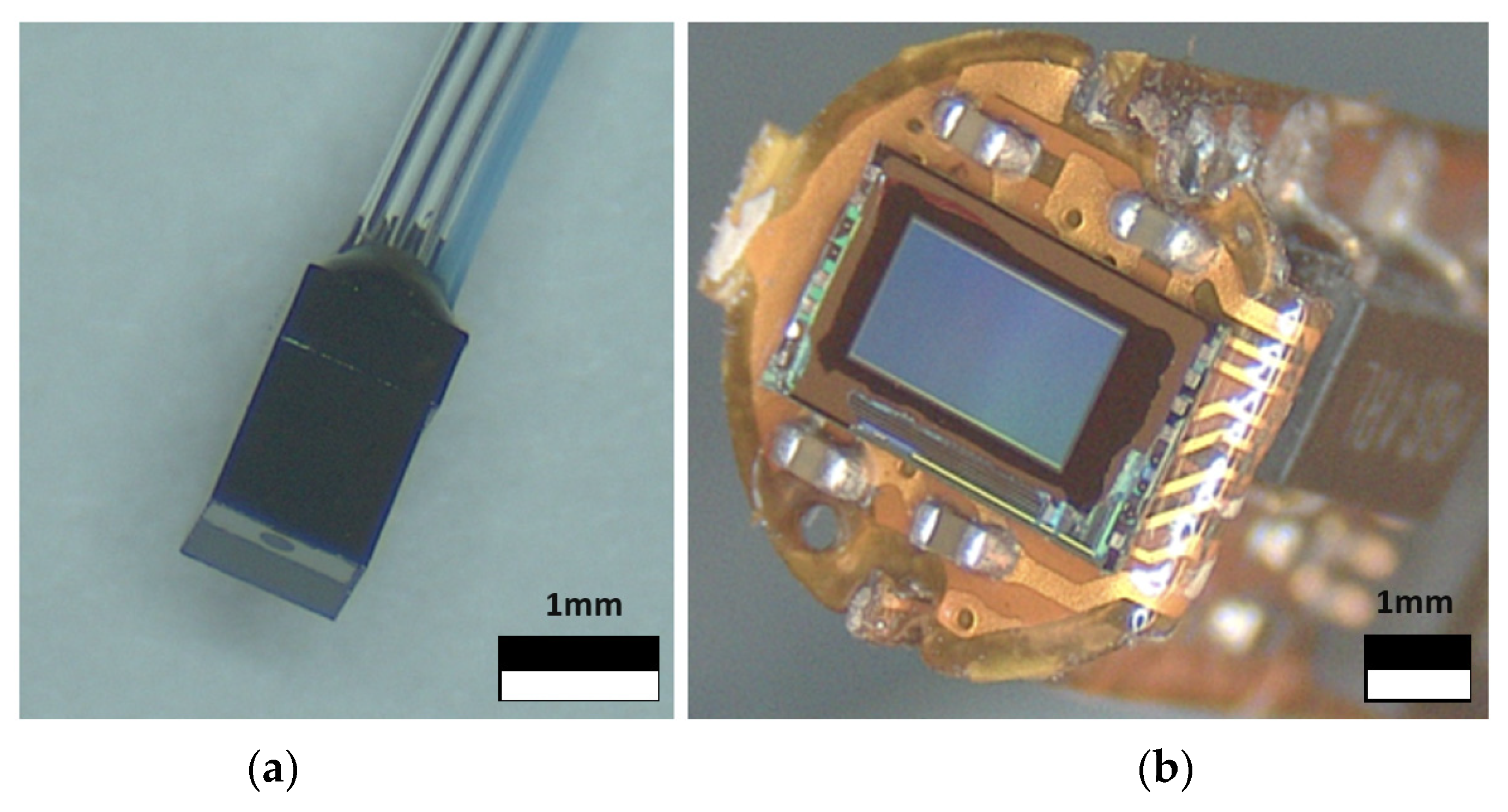 Instruments 08 00029 g003