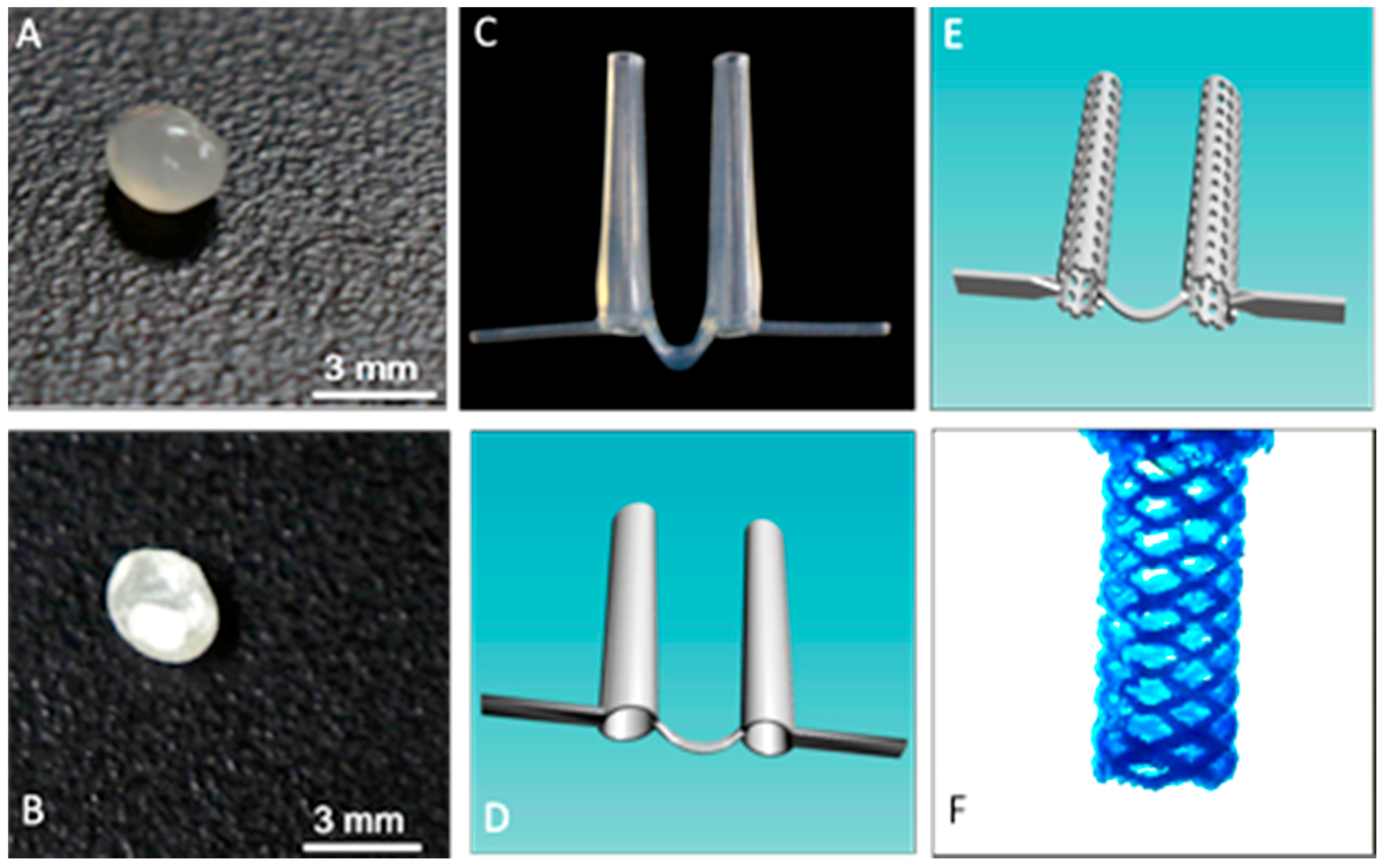 Inventions 03 00001 g003