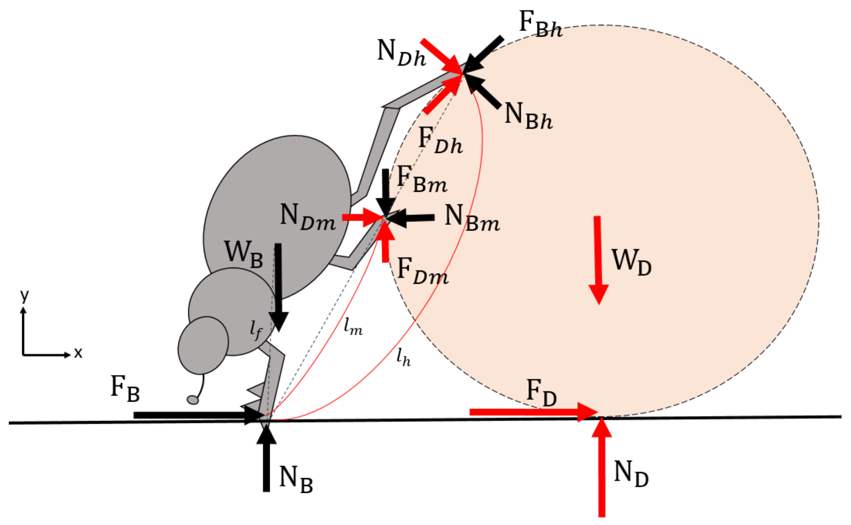 Inventions 03 00022 g003
