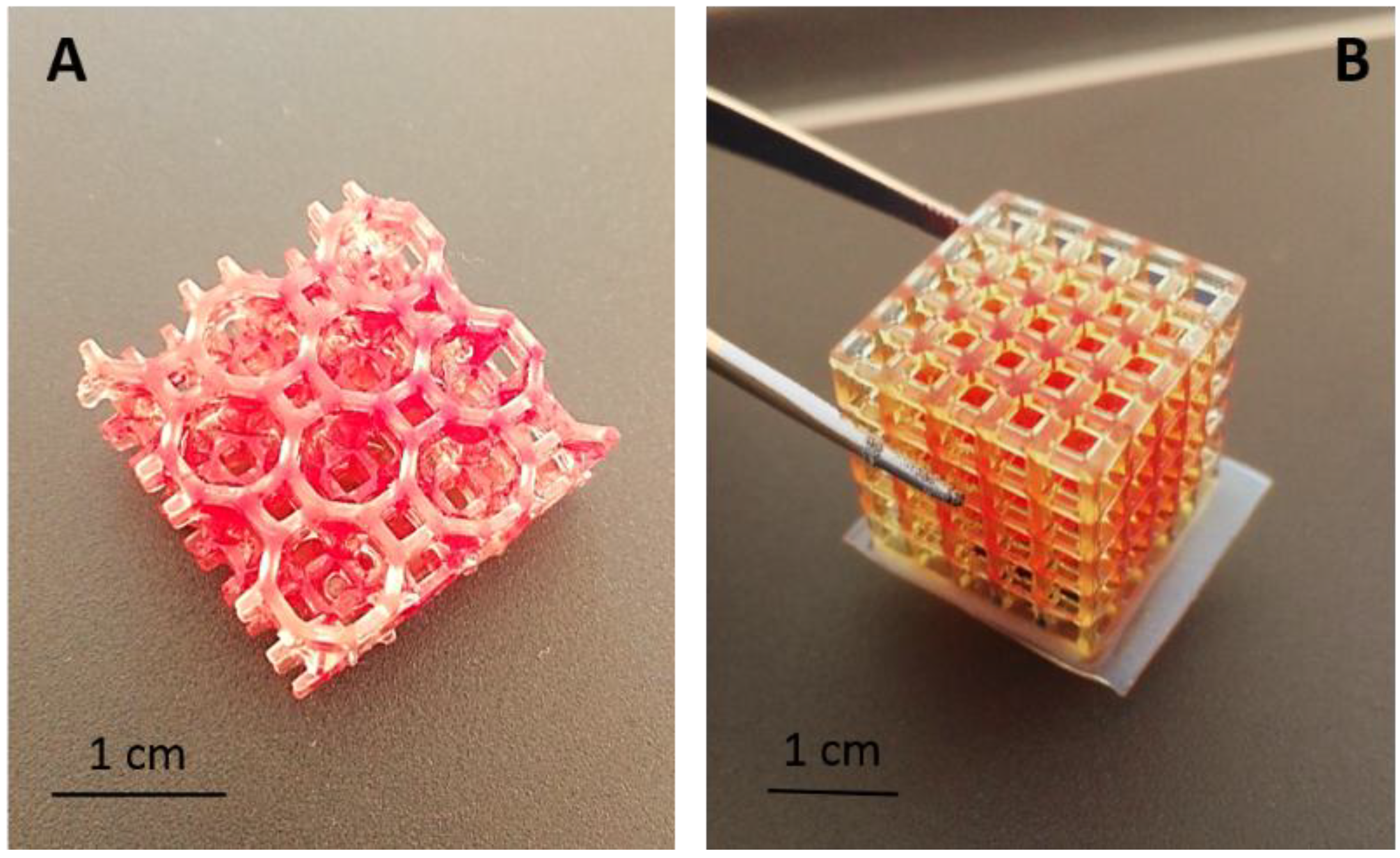 Inventions 03 00029 g001