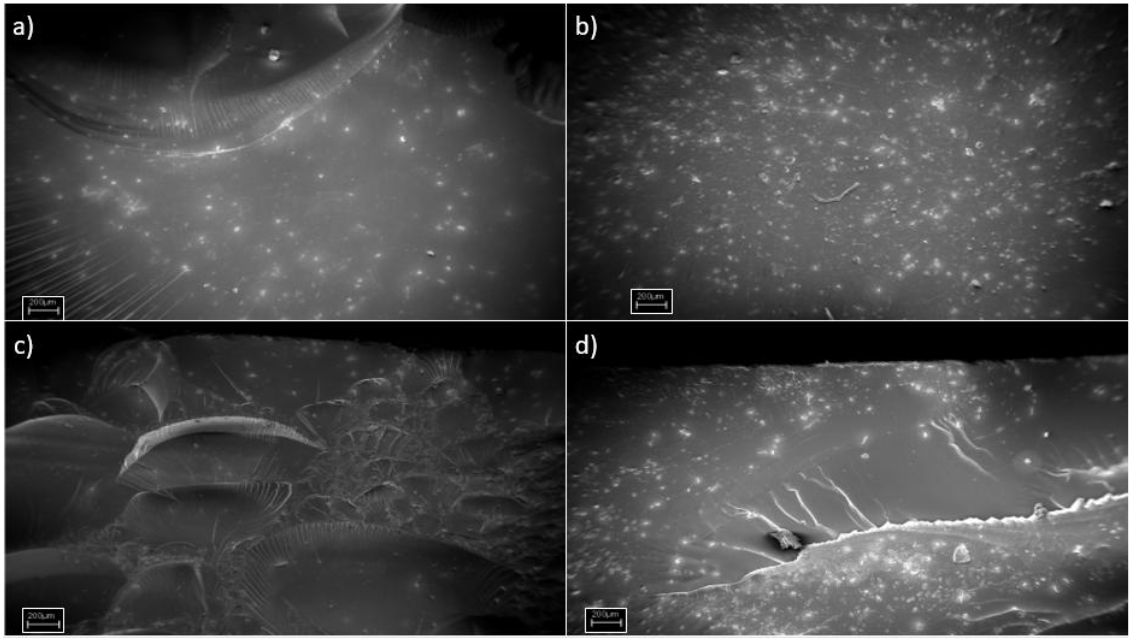 Inventions 03 00029 g005