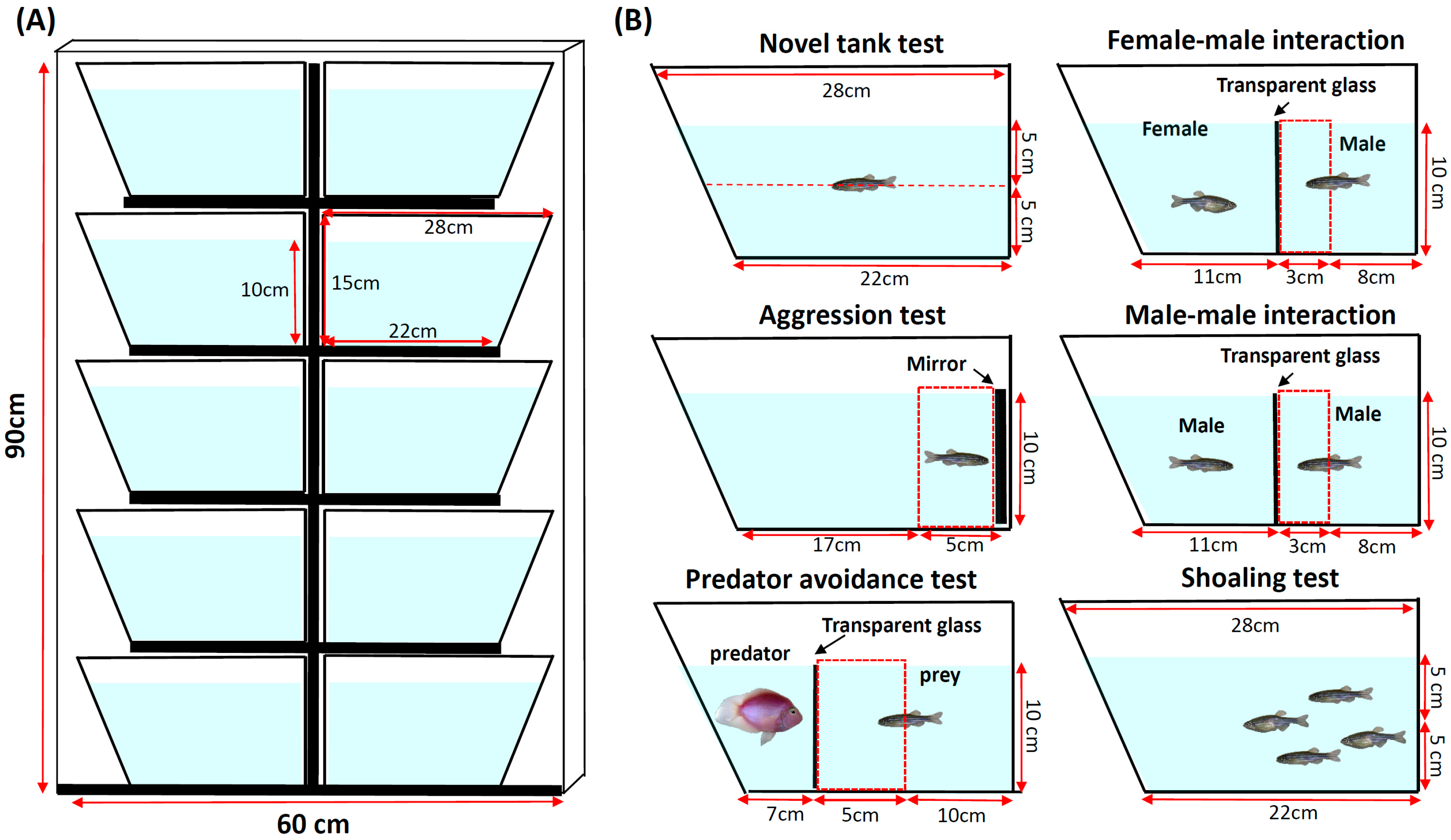 Inventions 03 00075 g001